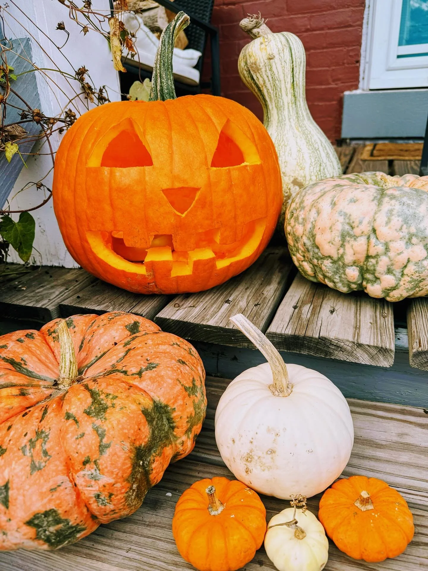 Happy Halloween! 🎃 👻