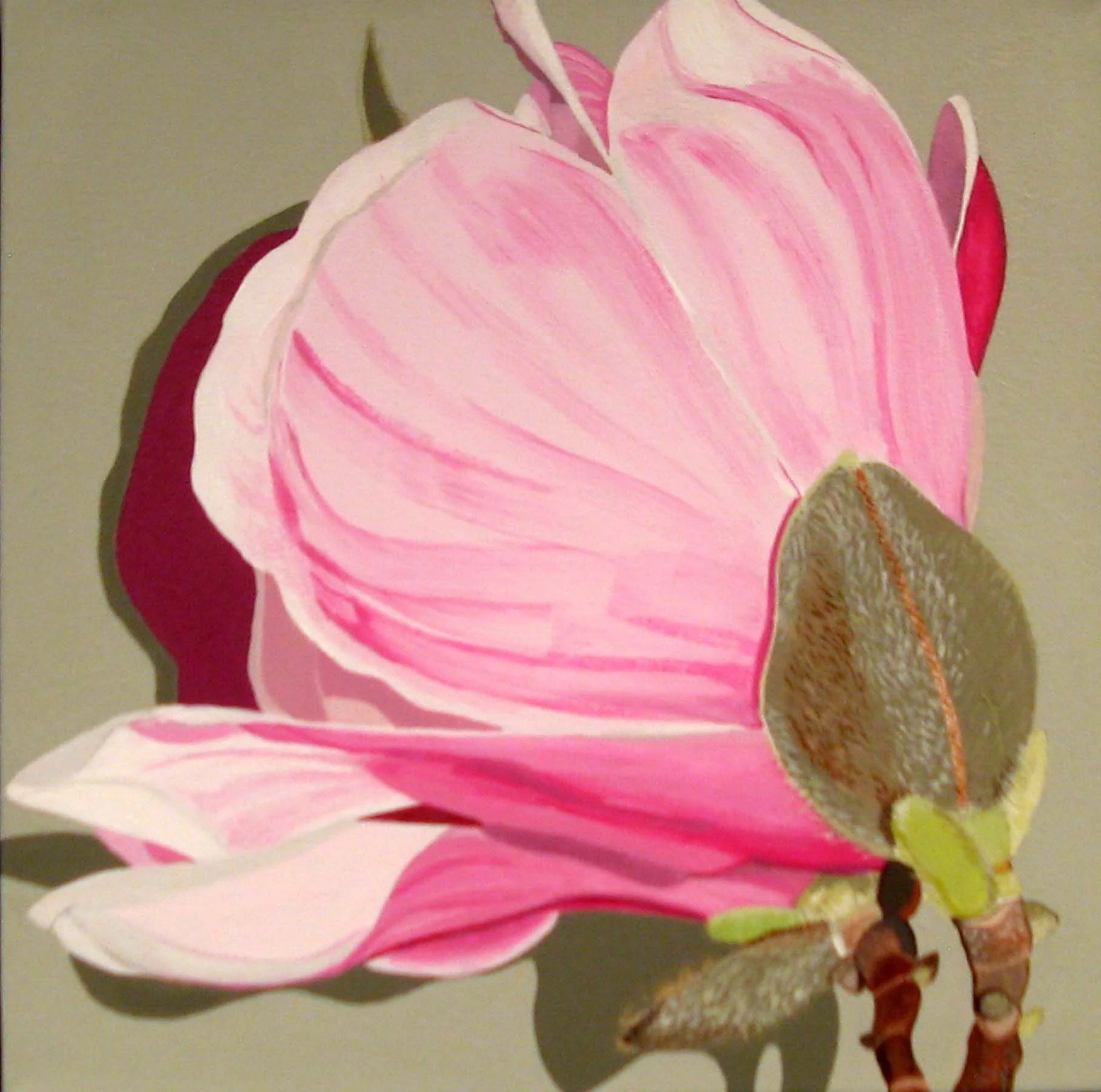 Magnolia 914 055.jpg
