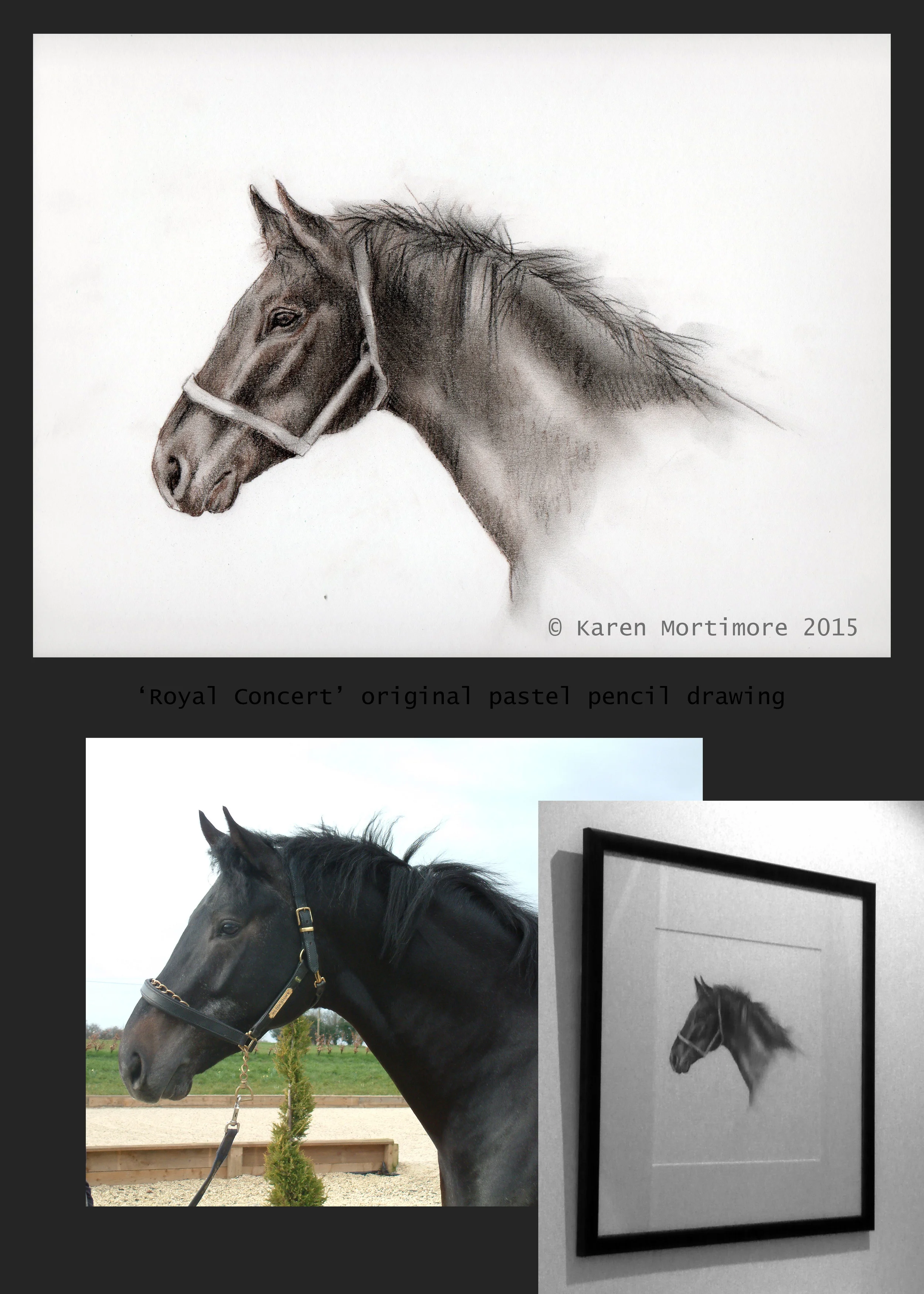 Rico - by Karen Mortimore.jpg