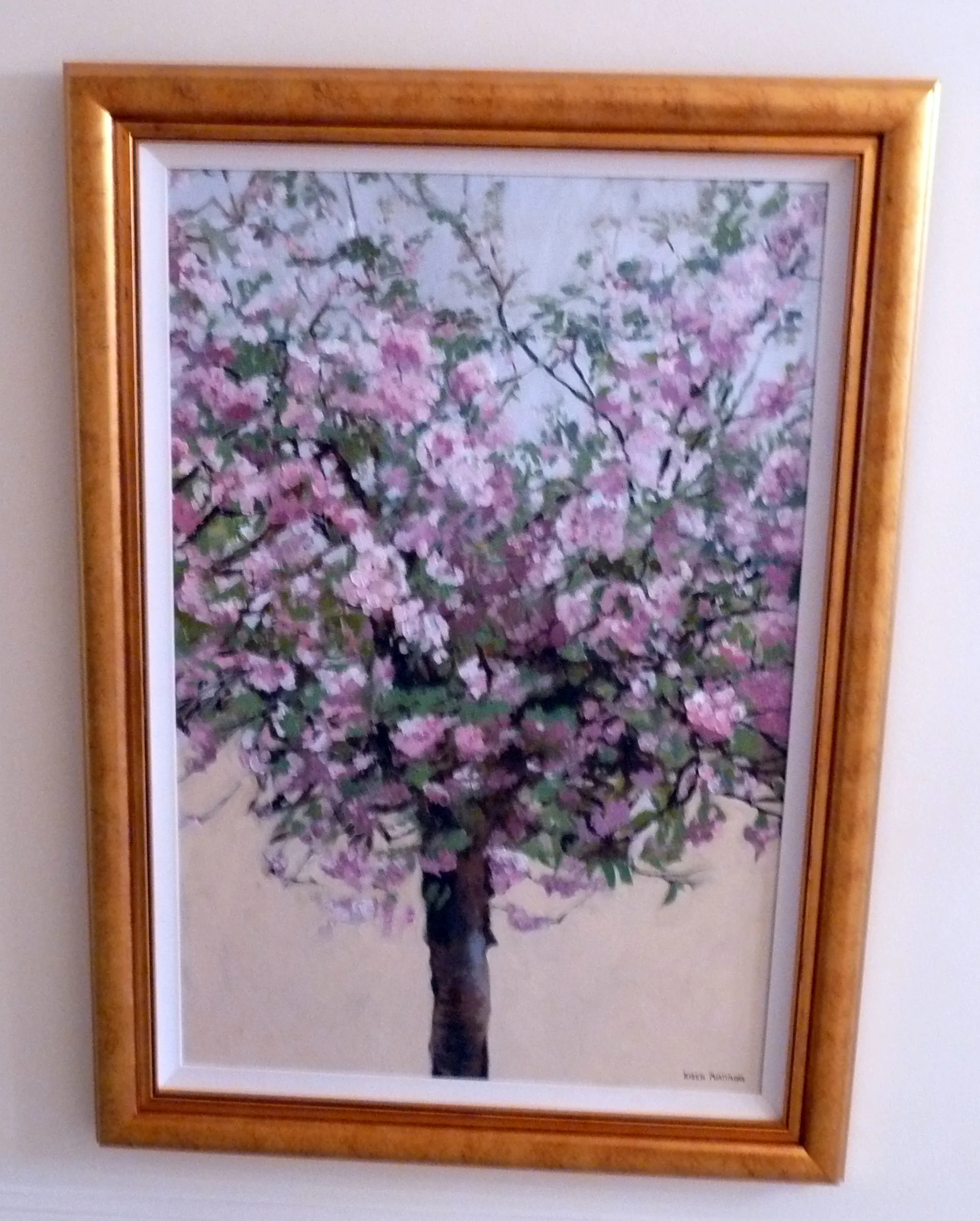 Pink Blossom Fr - Ap 09.JPG