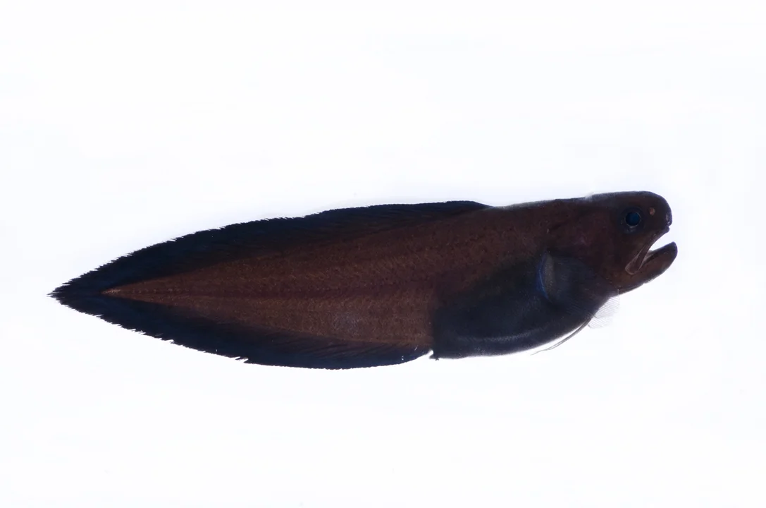 CRP_9463.jpg