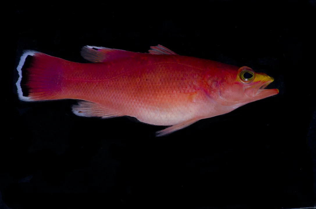 CRP_9458.jpg