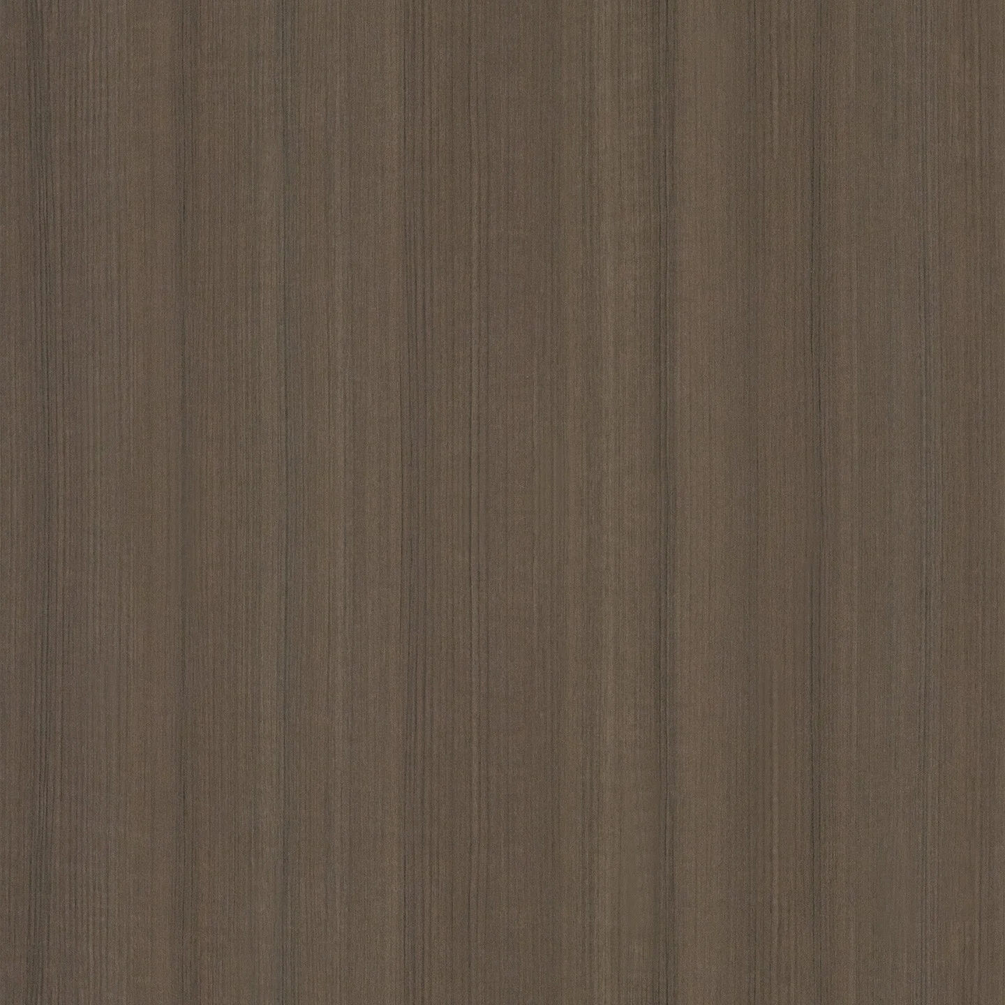 Studio Teak