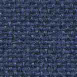 Blue Plum