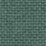 Silver Spruce
