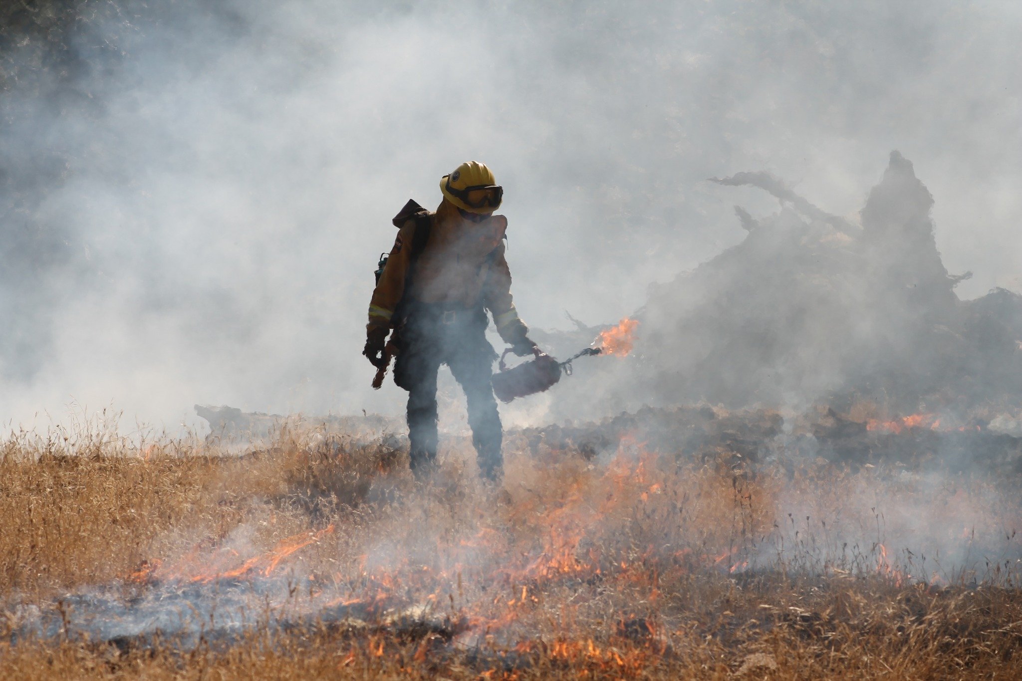 Fire Season 2024: A time for skilled professionals to step up and protect our communities. ❤️&zwj;🔥

#WildlandFireManagement
#ProtectingOurLands
#CrewBossPPE