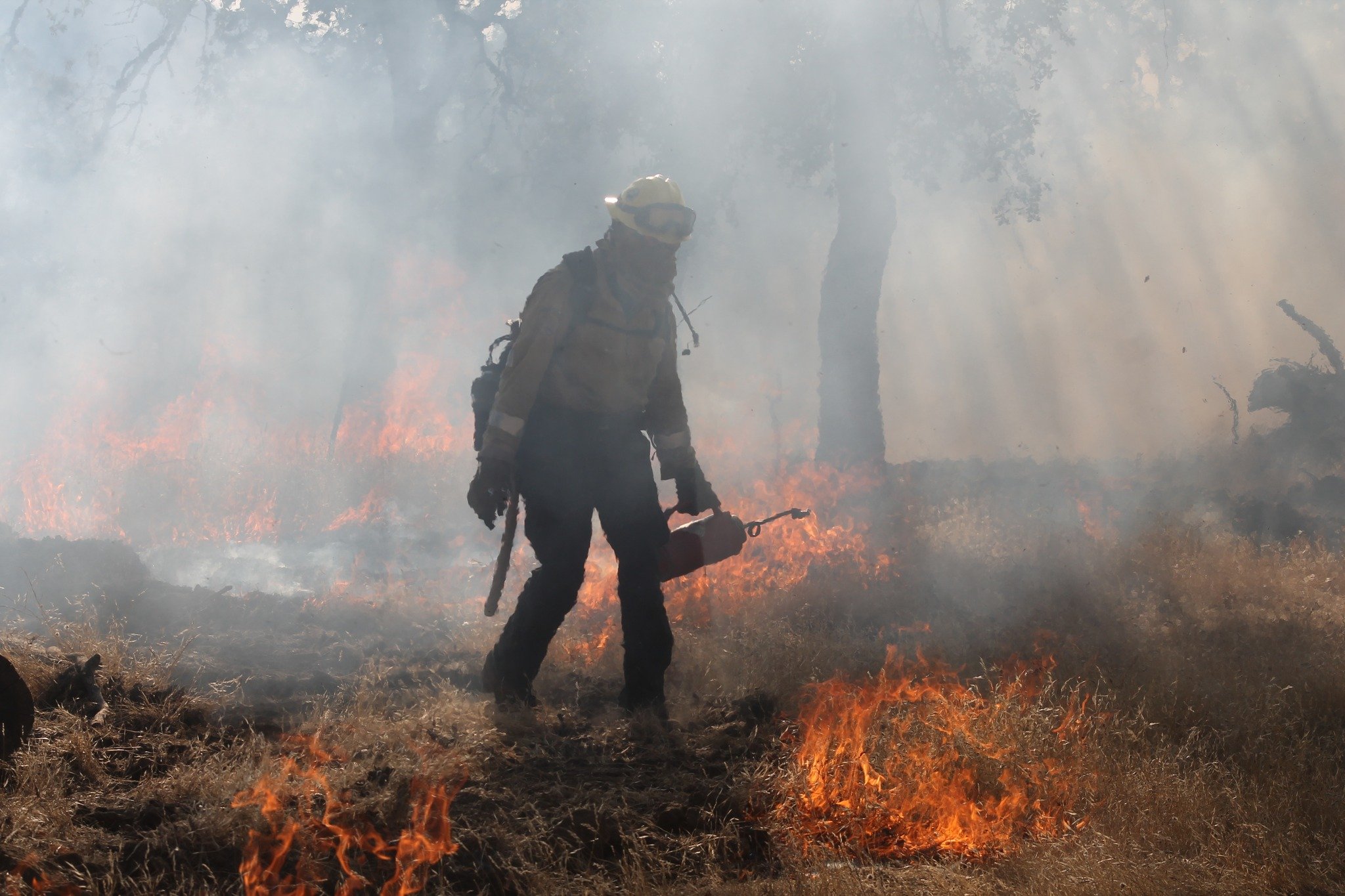 It's go time, Wildland Fam! ❤️&zwj;🔥

Fire Season 2024 means another season of pushing our limits and working as a team to make a real impact.

Let's bring the heat (safely) and extinguish these wildfires before they start!

#WildlandWarriors
#Makin