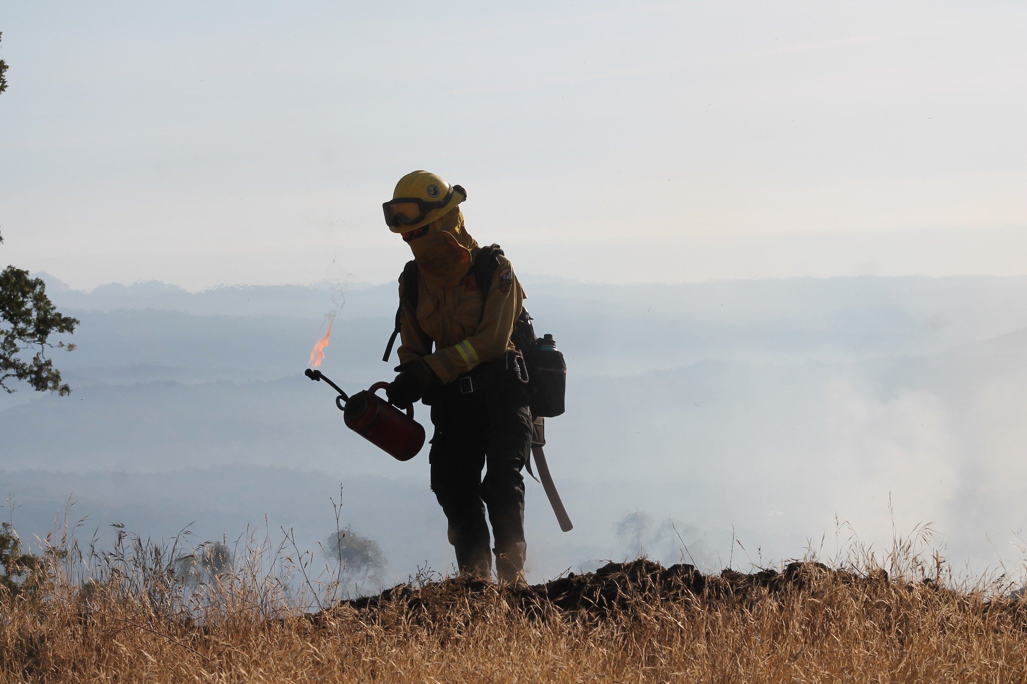 Controlled burns: A controlled approach to preventing wildfires. 🔥

Drip torches, in trained hands, are essential tools for managing fuel loads and protecting ecosystems.

#WildfirePrevention
#LearnAboutFire
#CrewBossPPE