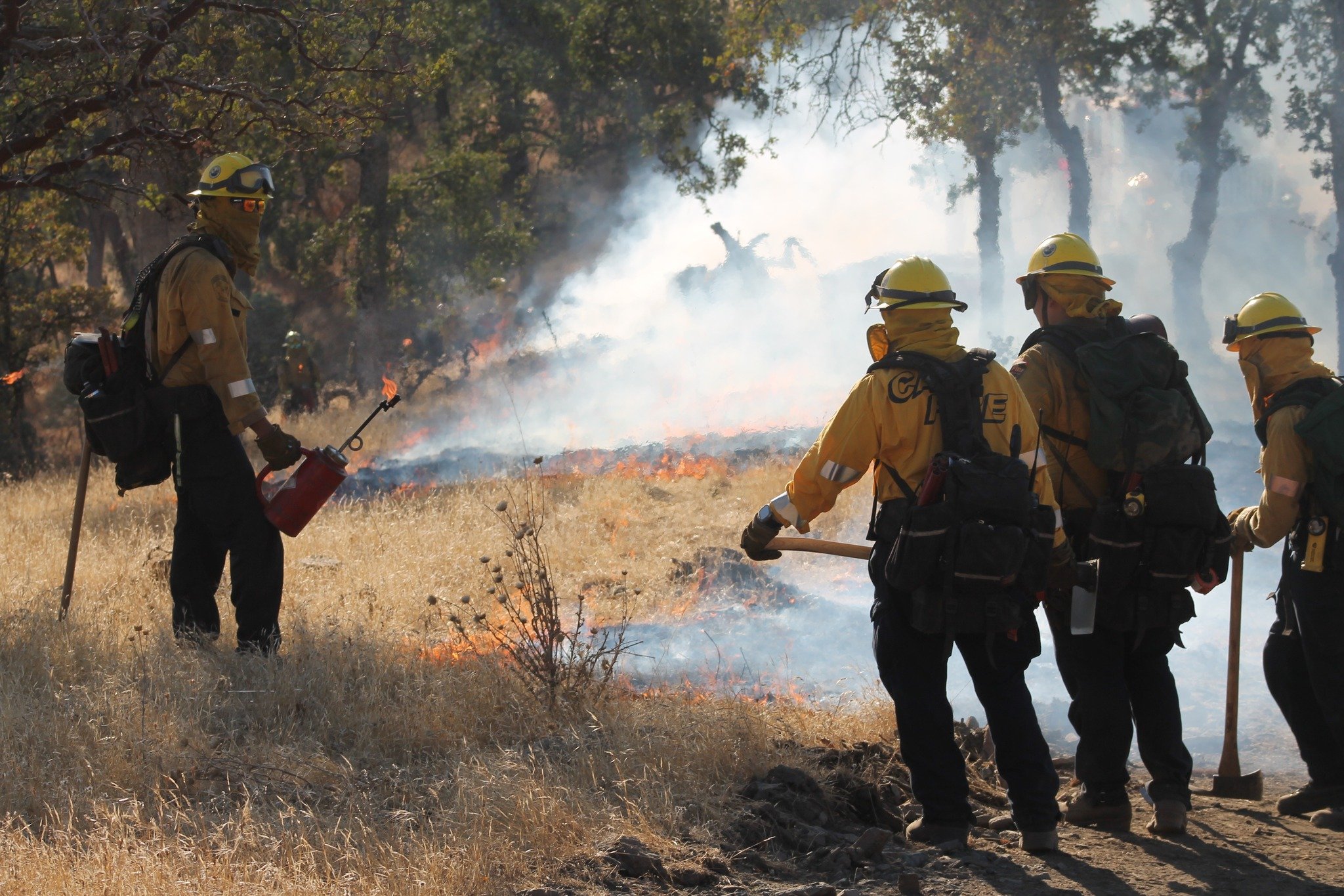 Fire fighting with fire, but make it high-tech! 🔥

Prescribed burns use controlled flames (from drip torches) and modern tools like weather monitoring to keep our lands safe. 

This proactive approach benefits wildlife and forests too!

#ScienceBase