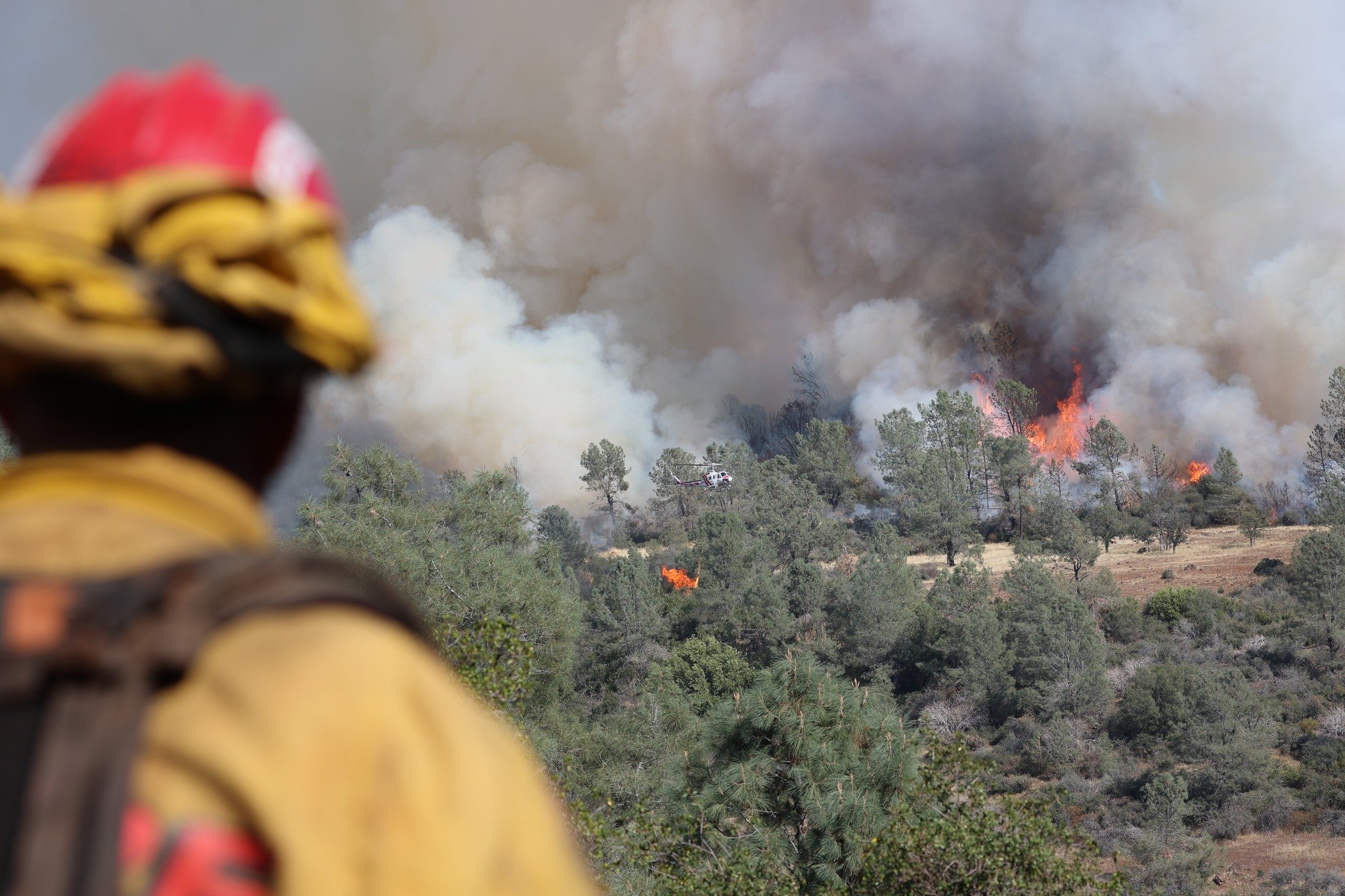 Masters of fire, protectors of the land. 🔥

Helitorch firefighters use controlled burns to fight fires strategically.

See how their aerial expertise helps manage wildfires before they start!

#AerialFirefightingExperts
#WildfirePrevention
#CrewBoss