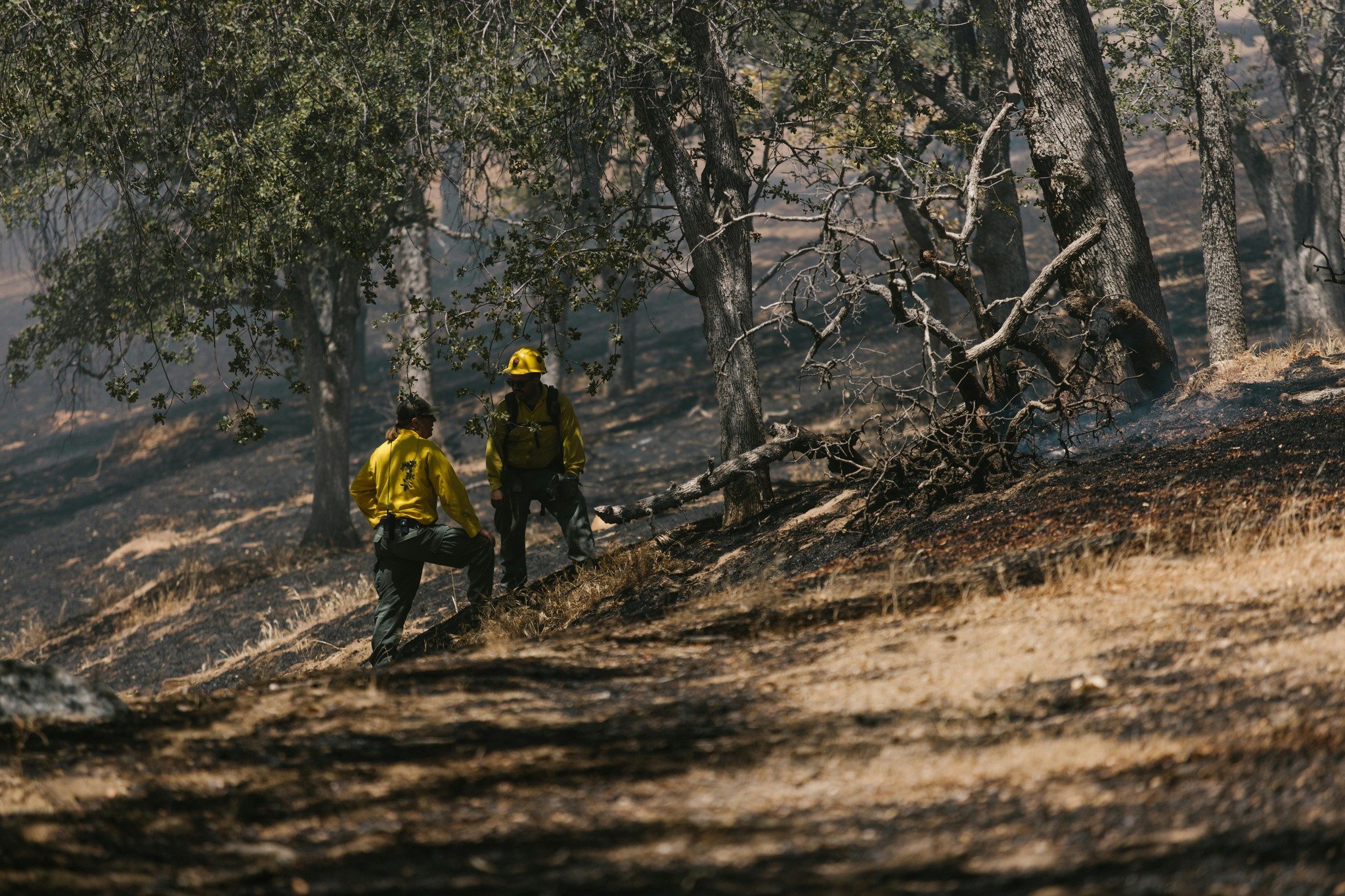Facing the flames, protecting our future. 💪

Thank you, wildland firefighters, for your commitment to keeping our communities safe from wildfires.

#ProtectingOurLands 
#EssentialProfession
#CrewBossPPE