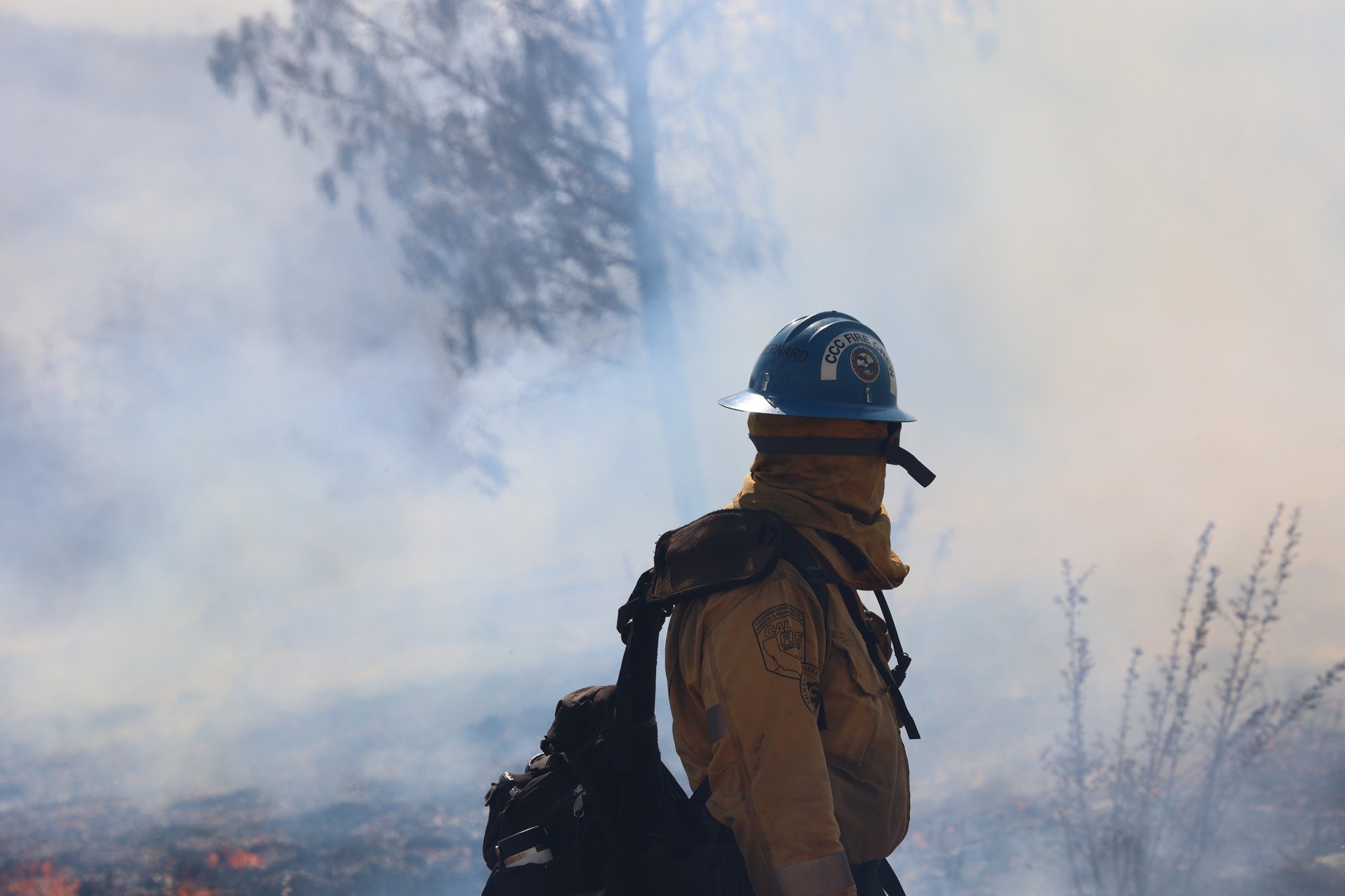 From towering flames to scorched landscapes, wildland firefighters are the first line of defense for our precious ecosystems. 💪

Their dedication ensures the future of our forests and wildlife.

Thank you for your bravery and tireless efforts.

#Wil