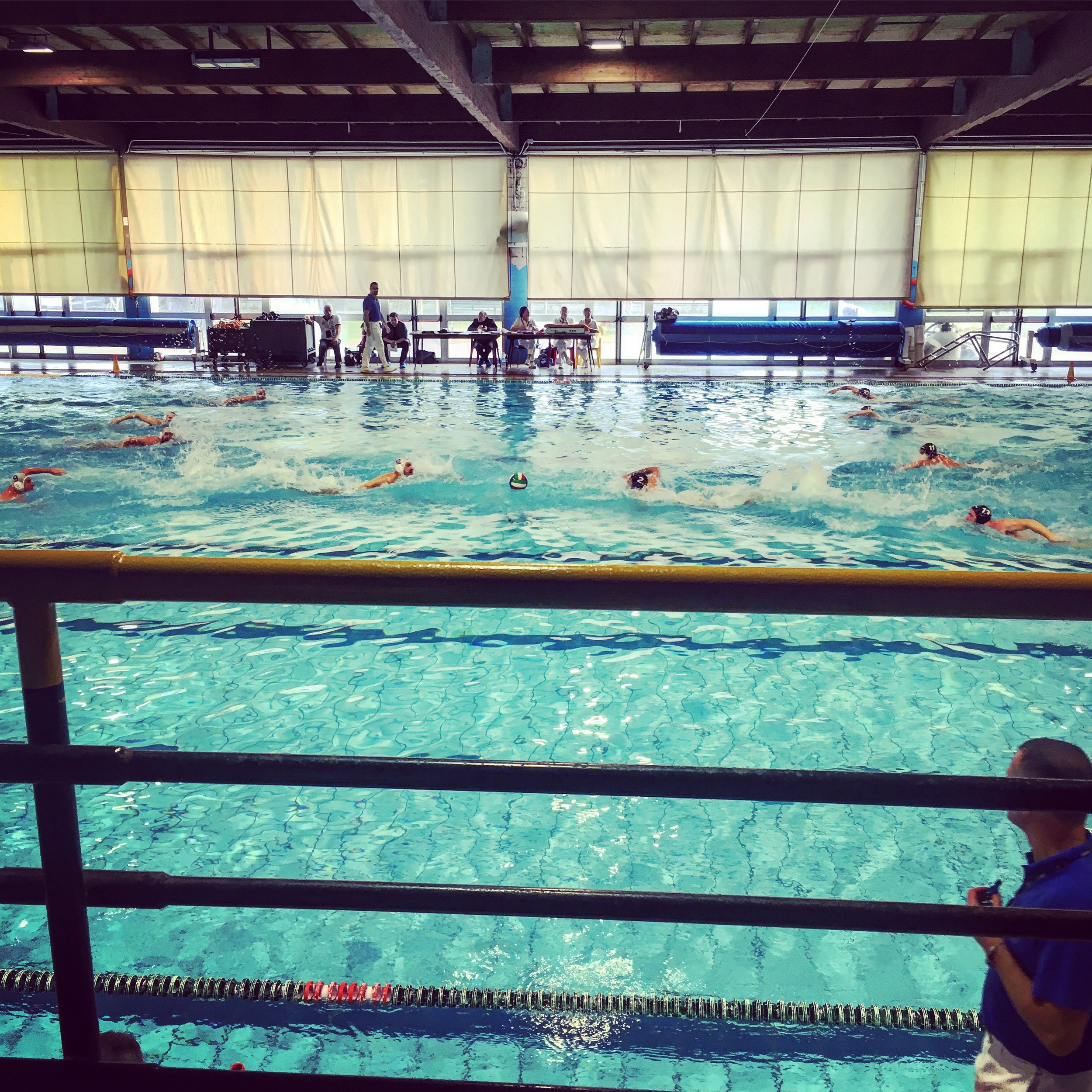 (Water polo match in action)