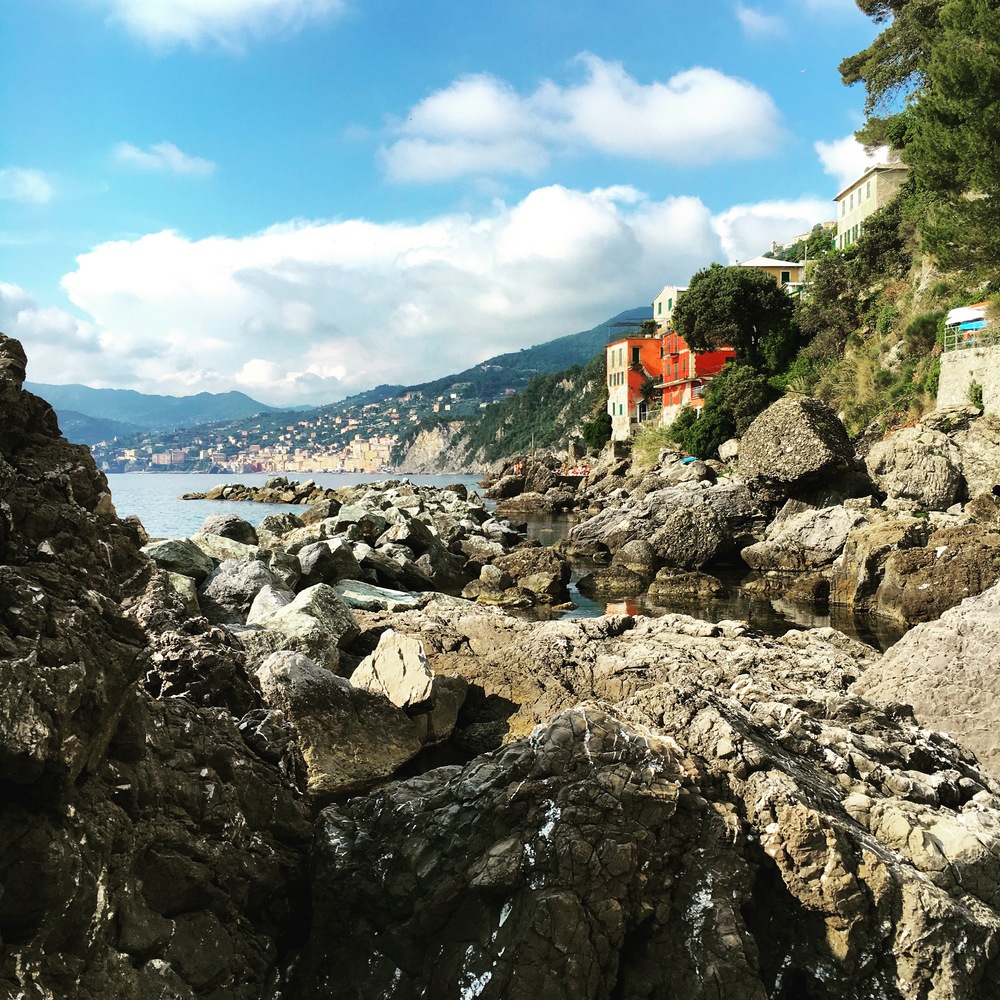Reasons+to+visit+punta+chiappa+camogli.jpeg