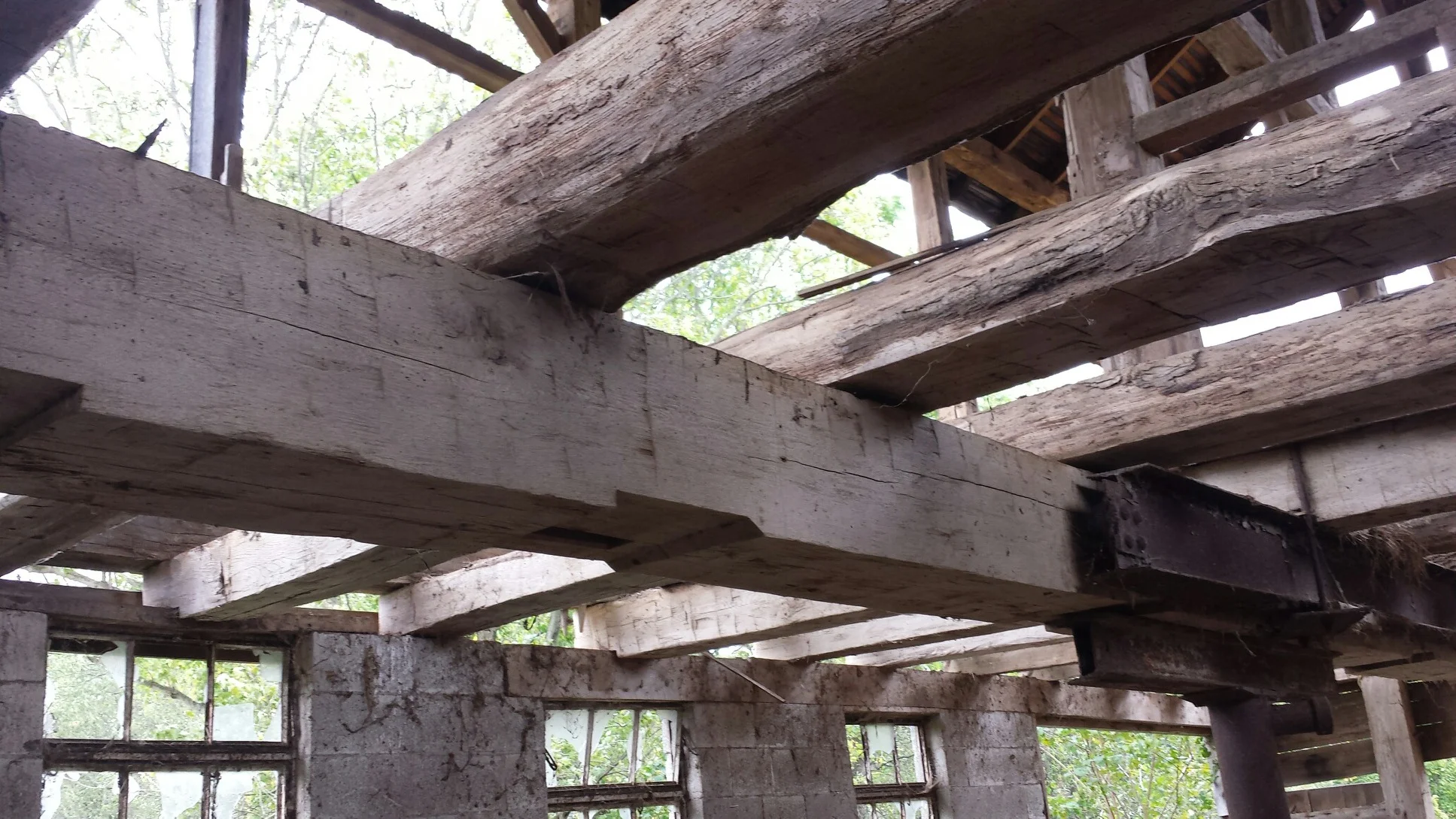 Barn floor .jpg