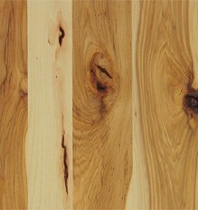 New Hickory