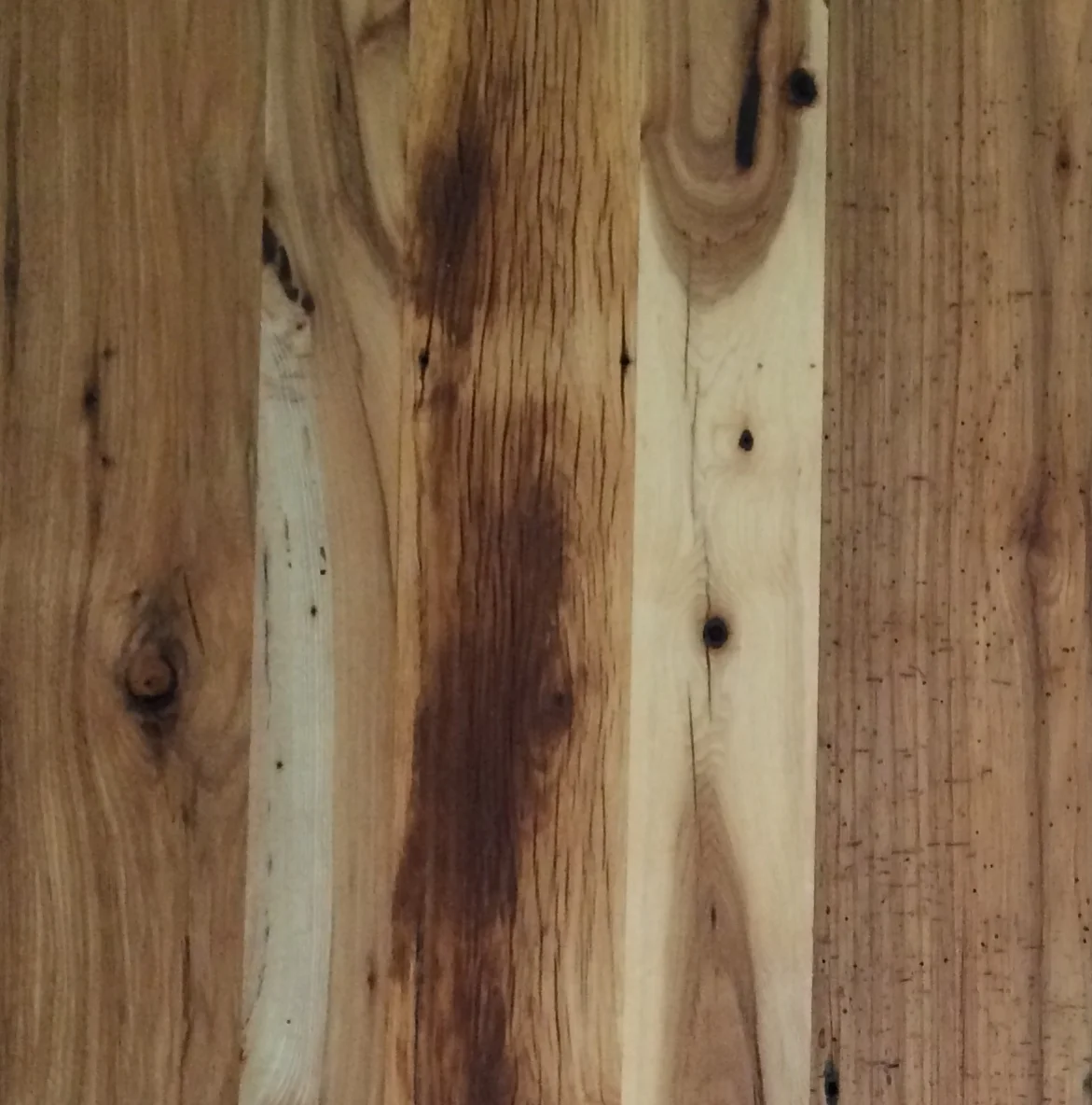 Hickory