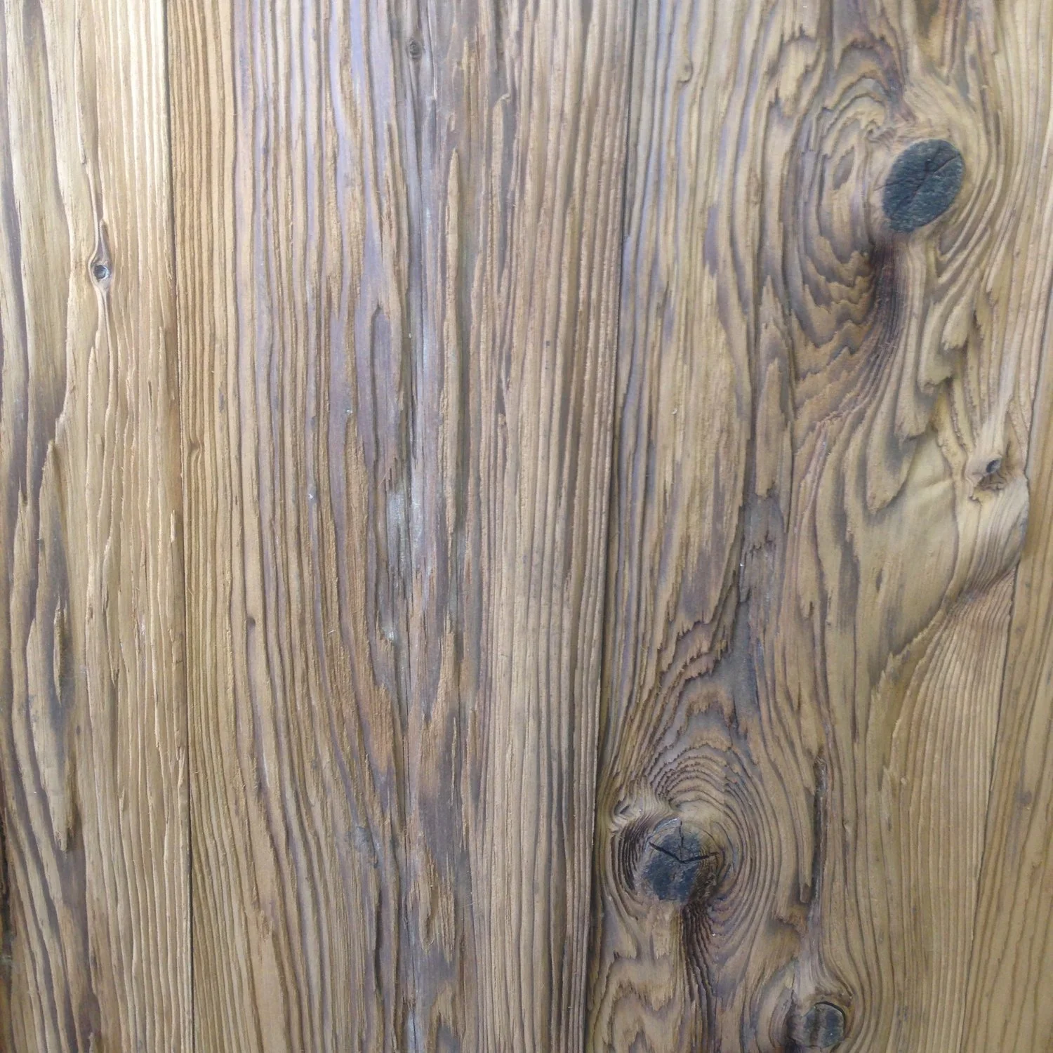Mushroom Wood