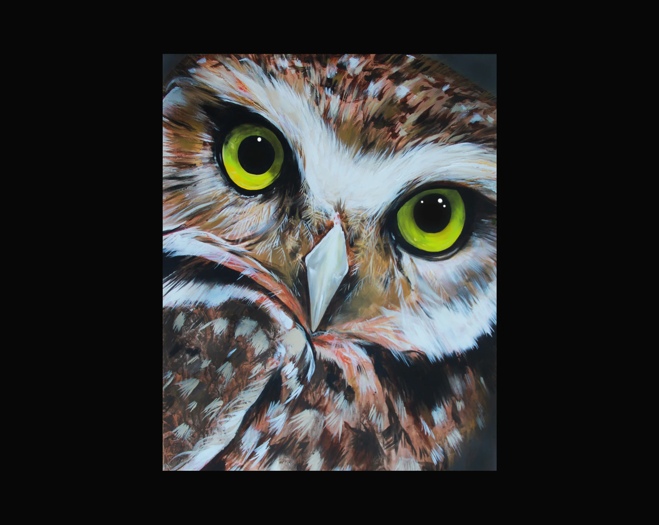 Borrowing Owl