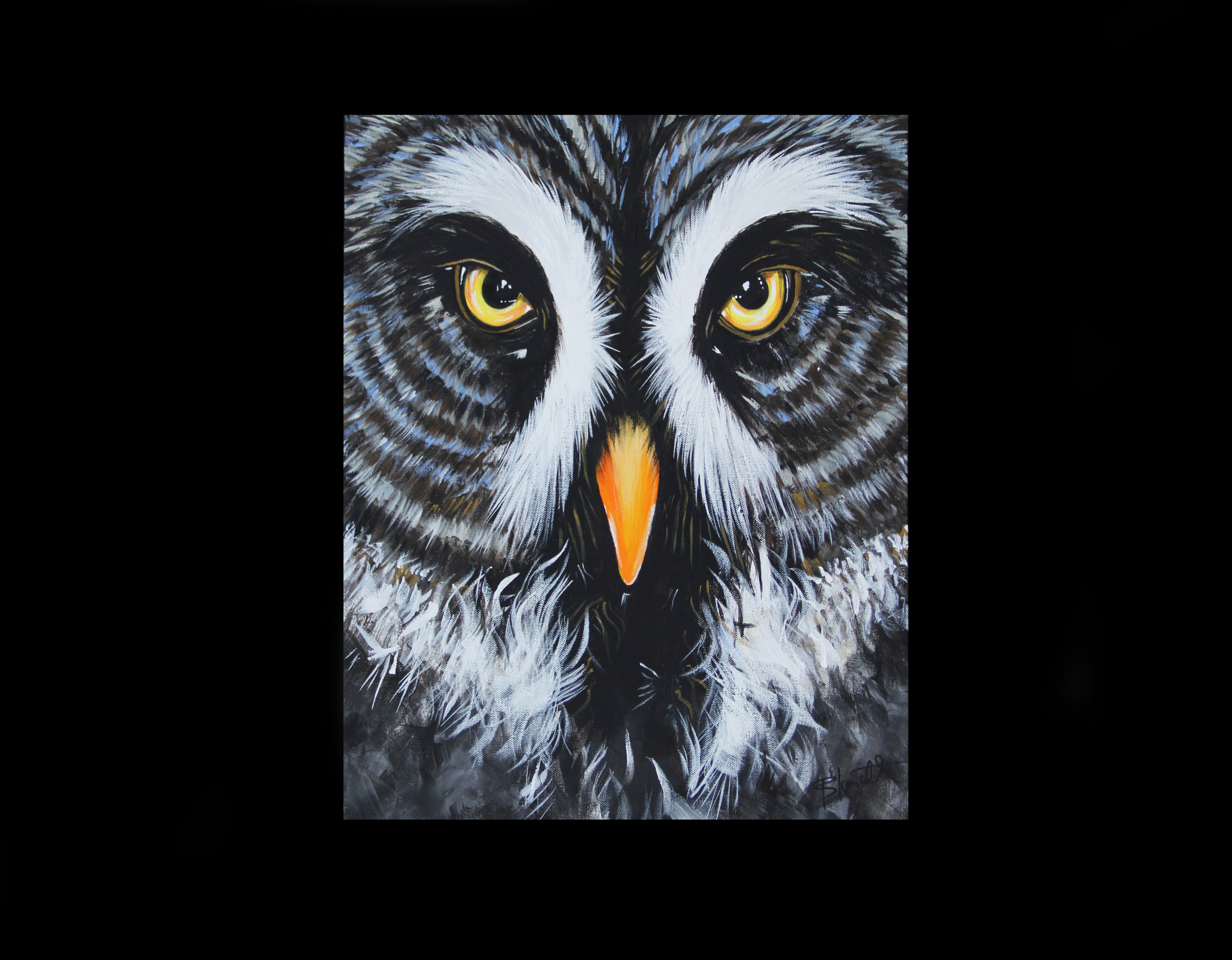 Who Da Owl Are You?