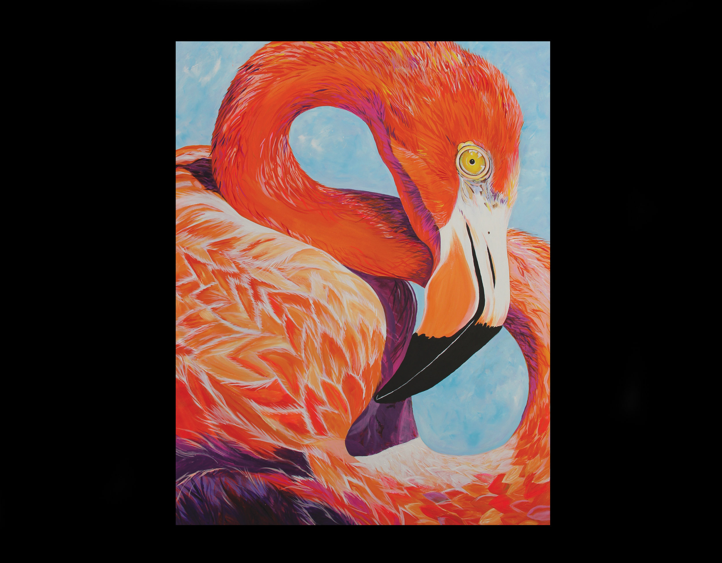 Bird of Paradise