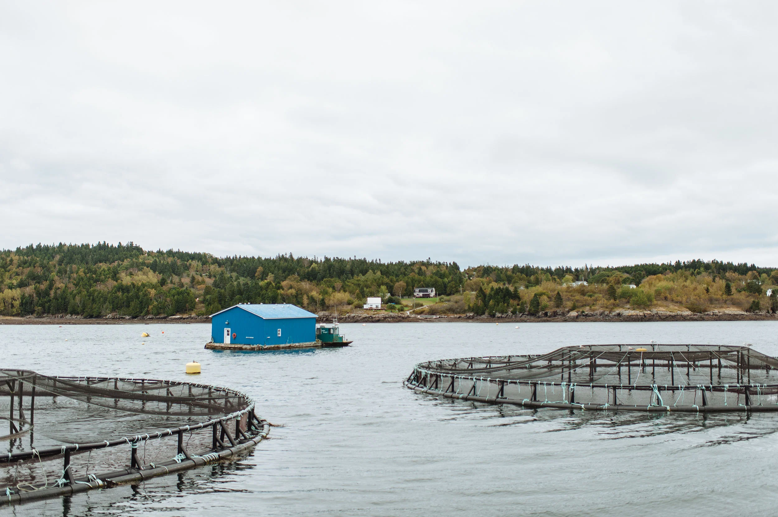 A New Aquaculture Act in Canada Gallery — Canadian Aquaculture Industry
