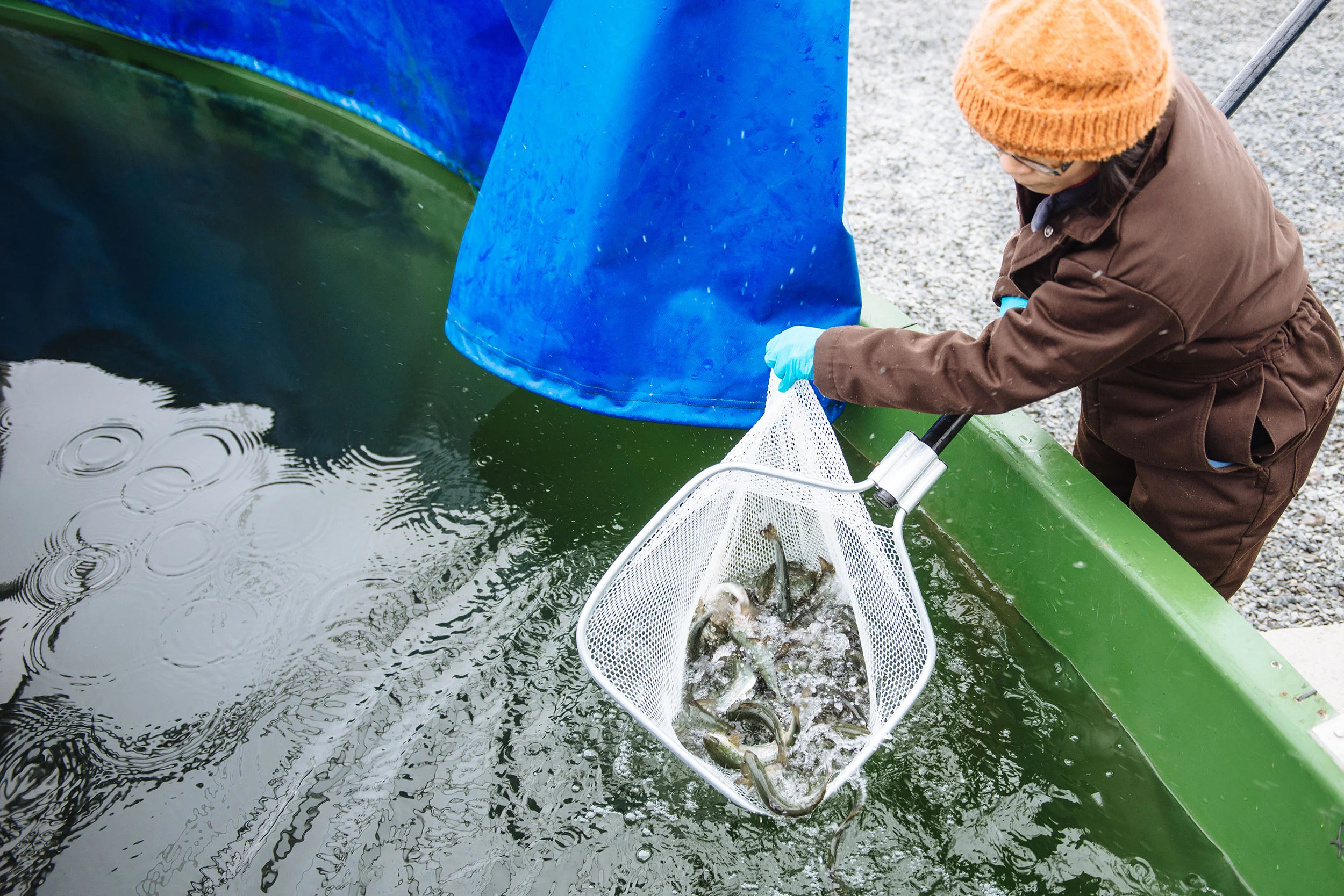 A New Aquaculture Act in Canada Gallery — Canadian Aquaculture Industry