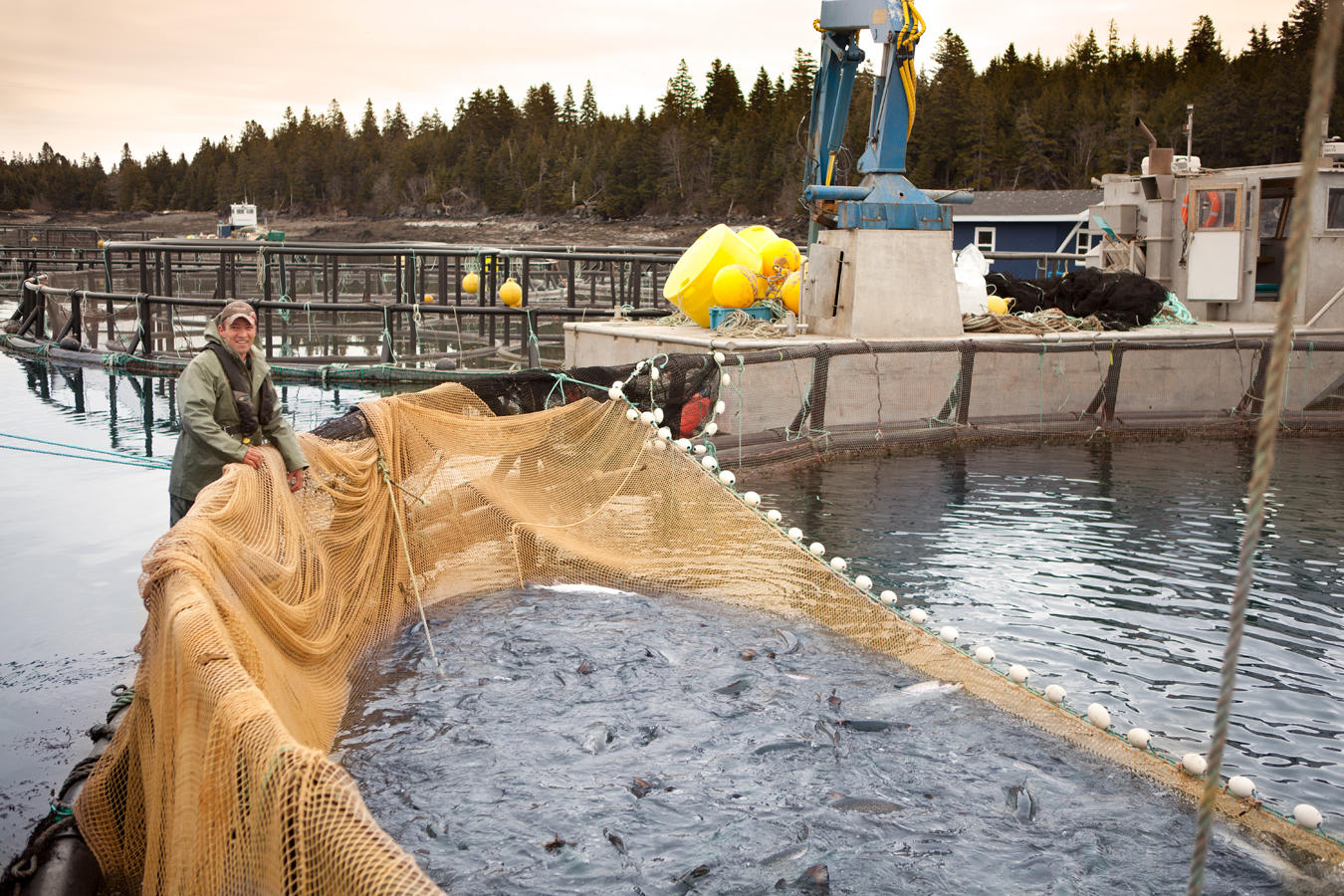 Careers in Aquaculture Index — Canadian Aquaculture Industry Alliance