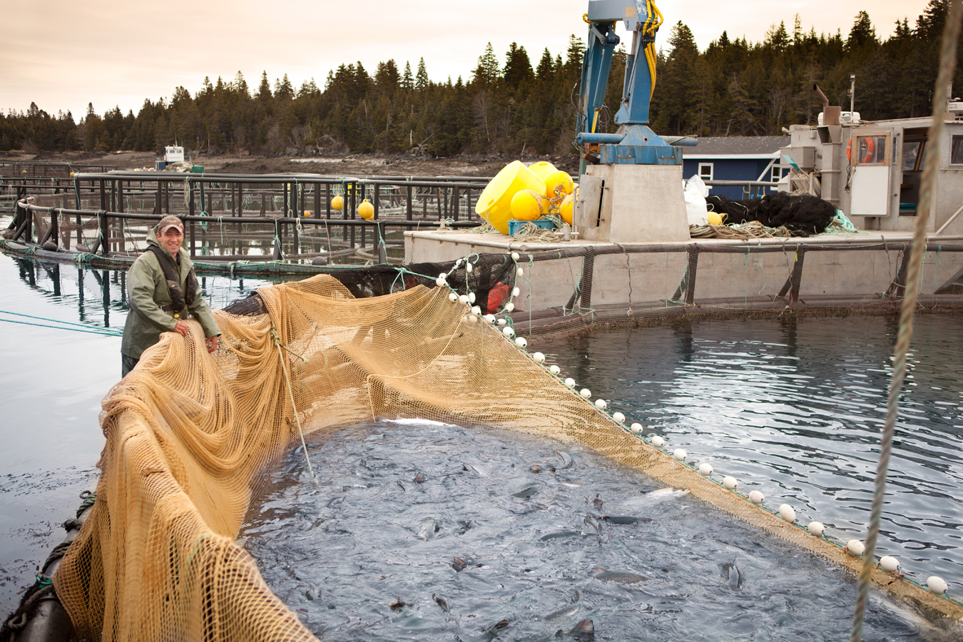 ORIGINAL JUST IN CASE — Canadian Aquaculture Industry Alliance
