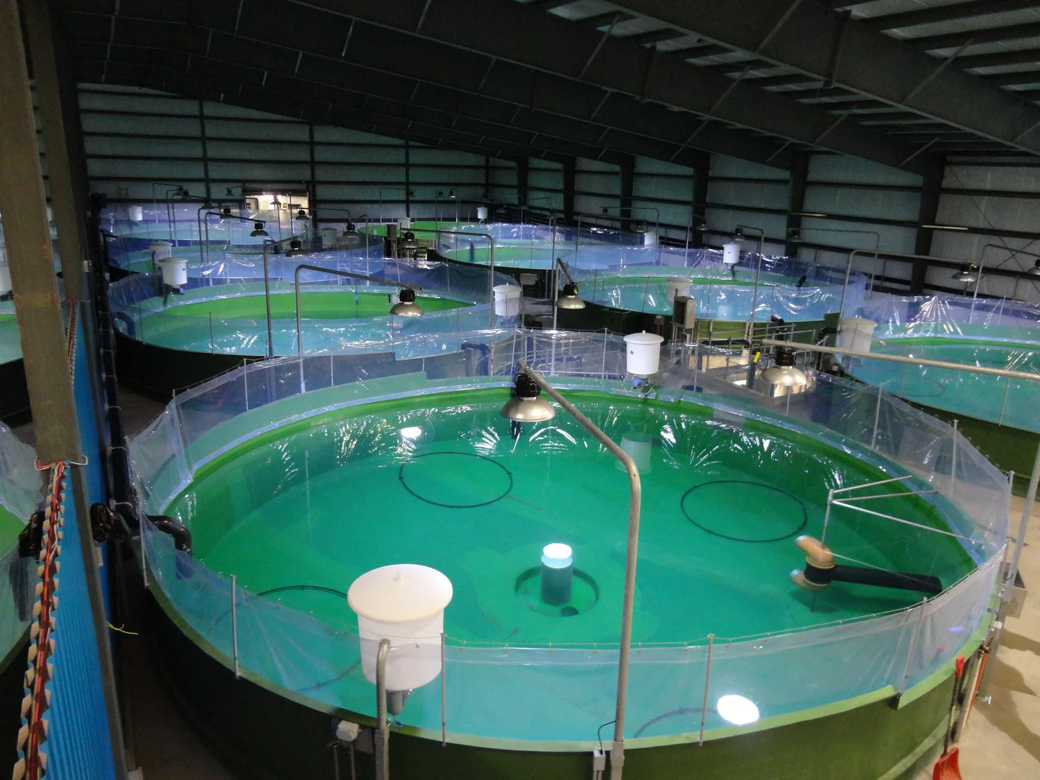 Indoor Fish Farming Manitoba