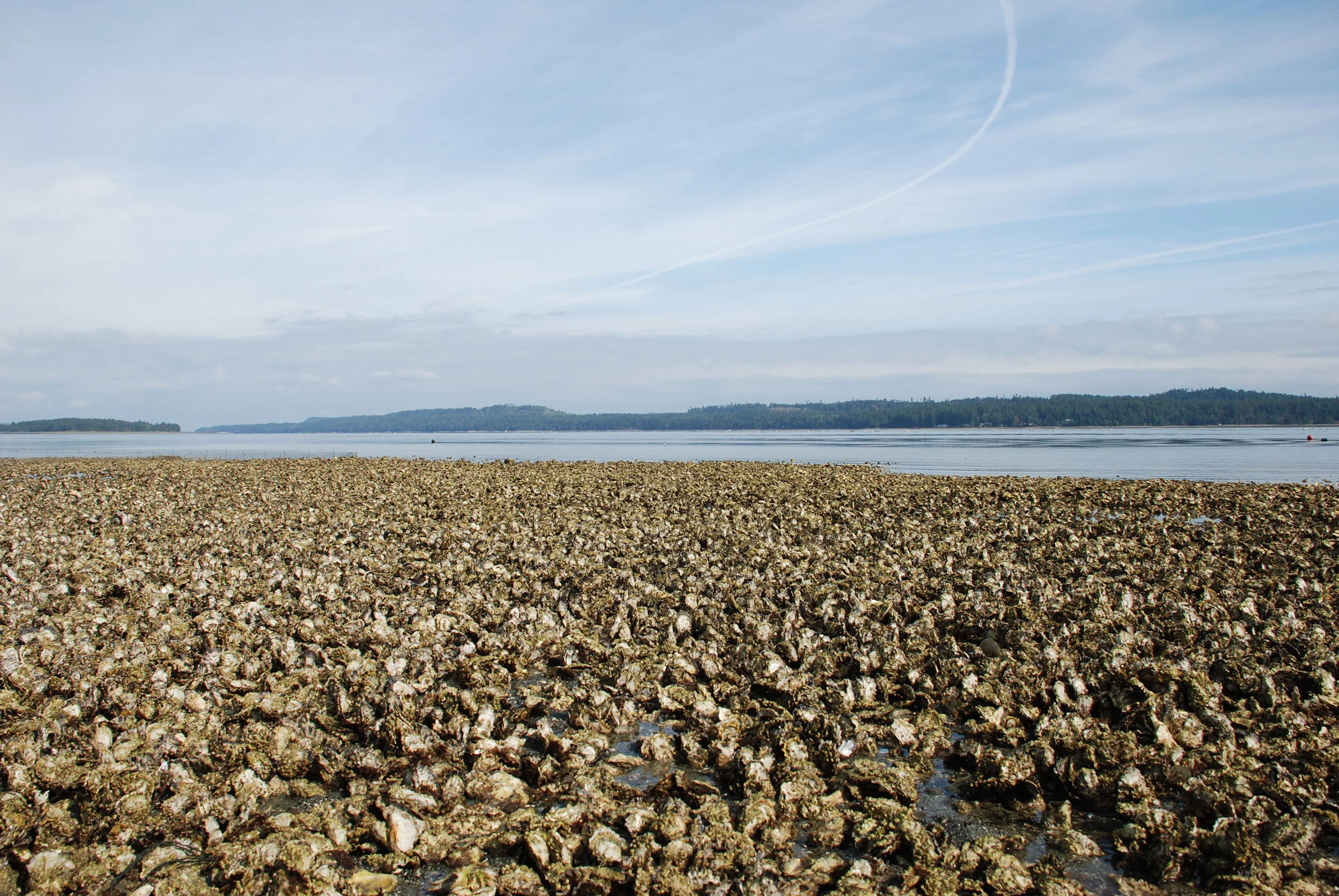 What Is Aquaculture Canadian Aquaculture Industry Alliance