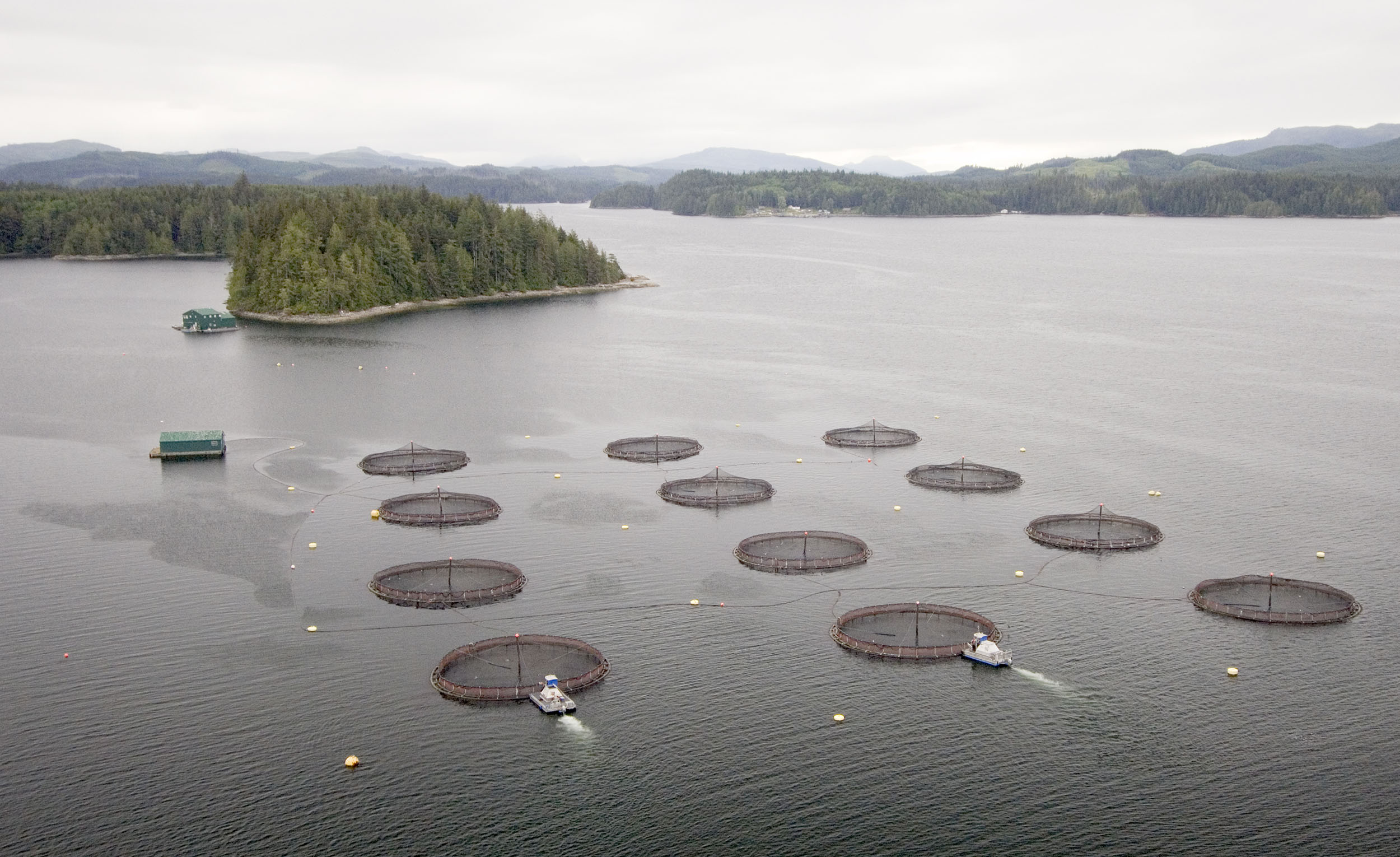 Aquaculture In Canada