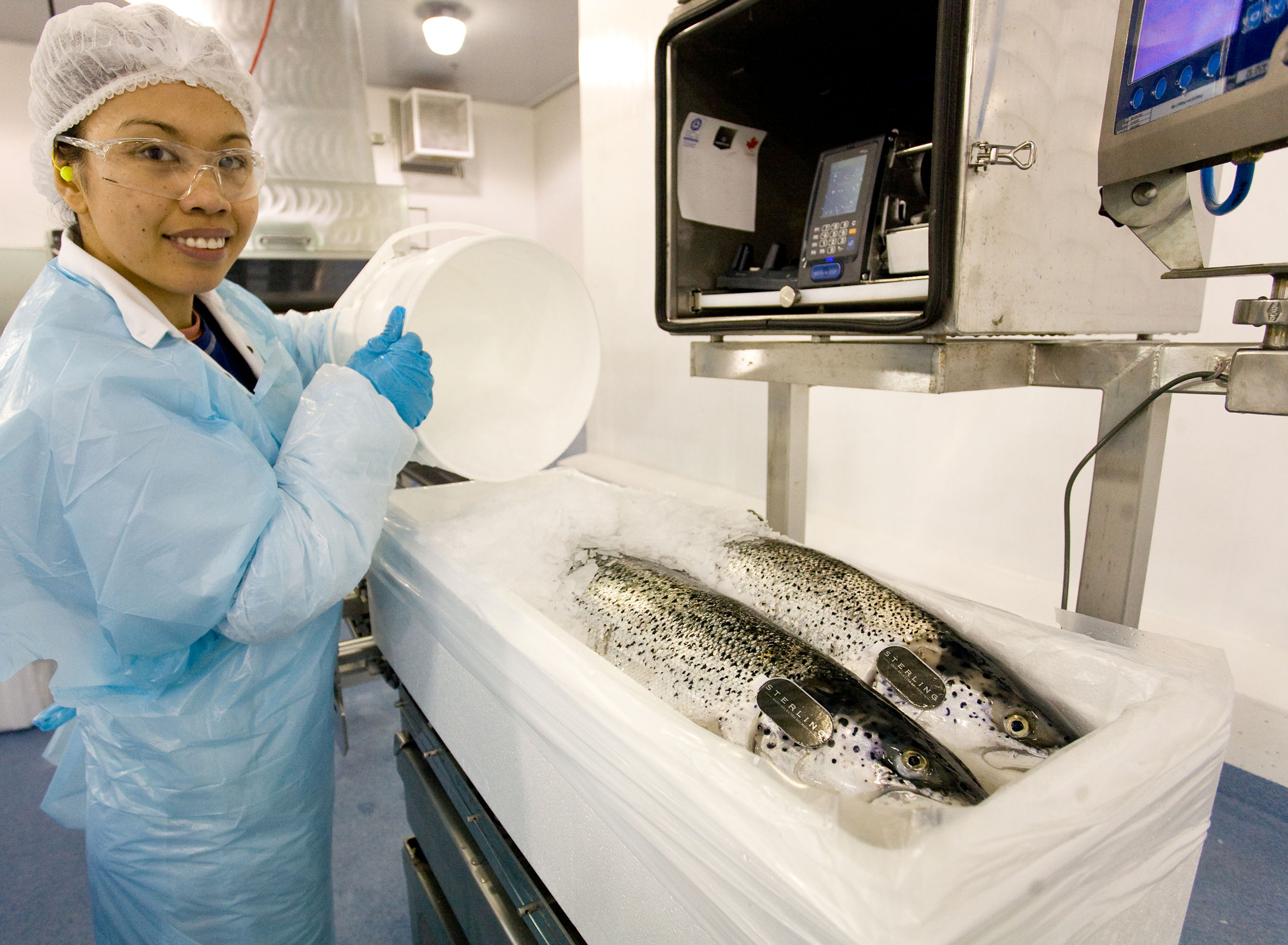 Careers in Aquaculture