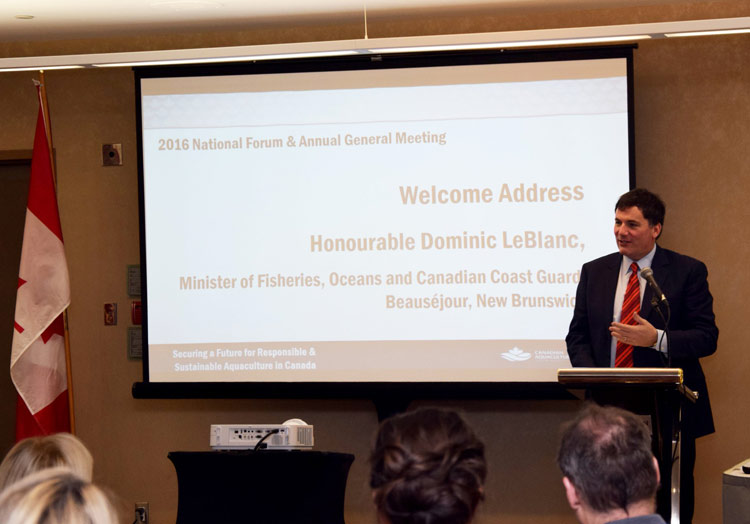 14.00
Normal
0
false
false
false
EN-CA
JA
X-NONE
Minister LeBlanc addressed responsible, sustainable growth of aquaculture at the CAIA National Forum.