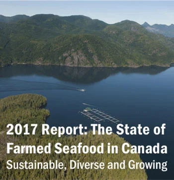 2017-report.jpg