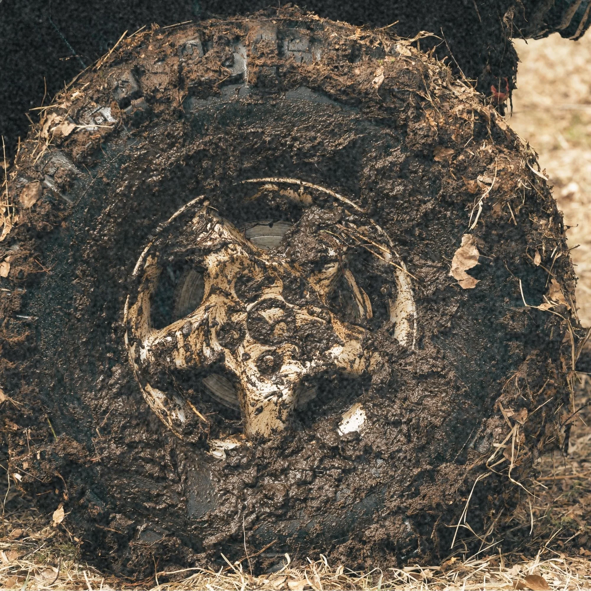 Let’s Go Muddin’ – Sunday in the South