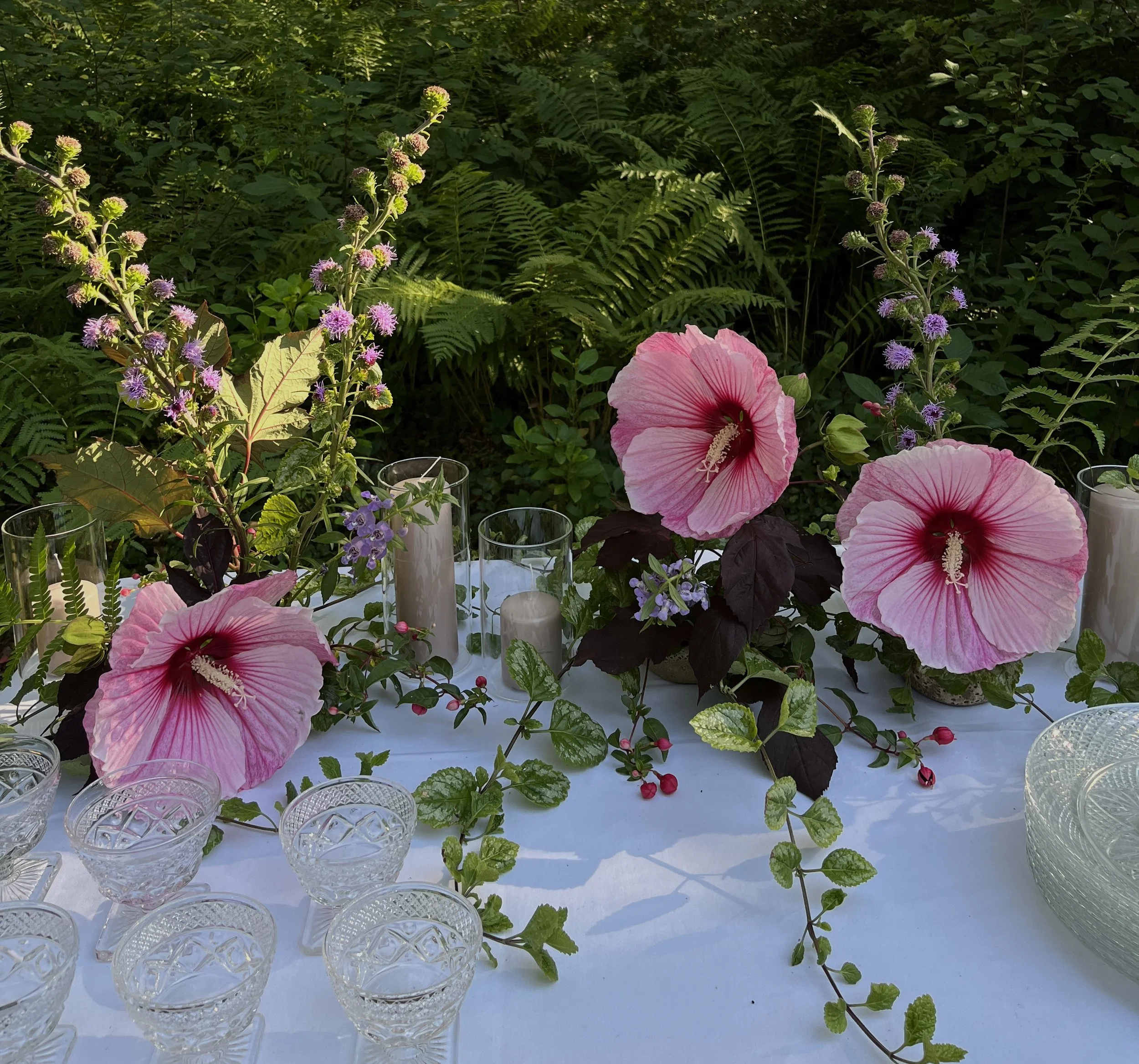 dinner plate hibiscus.jpg