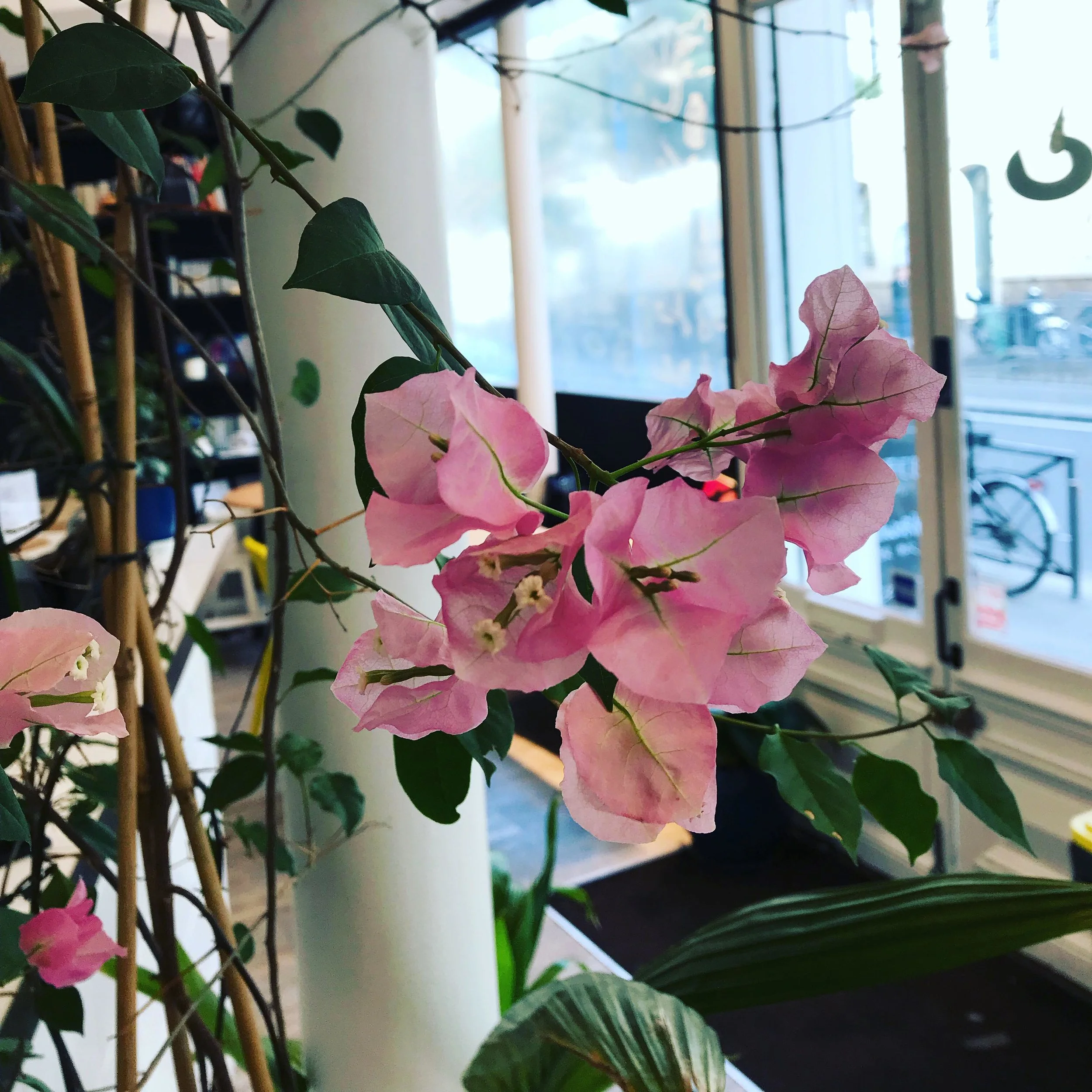 But... Spring is coming ! 🌸