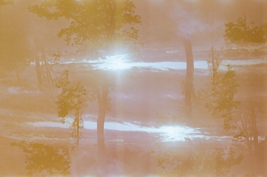 LauraDillonRogersdoublesun.jpg