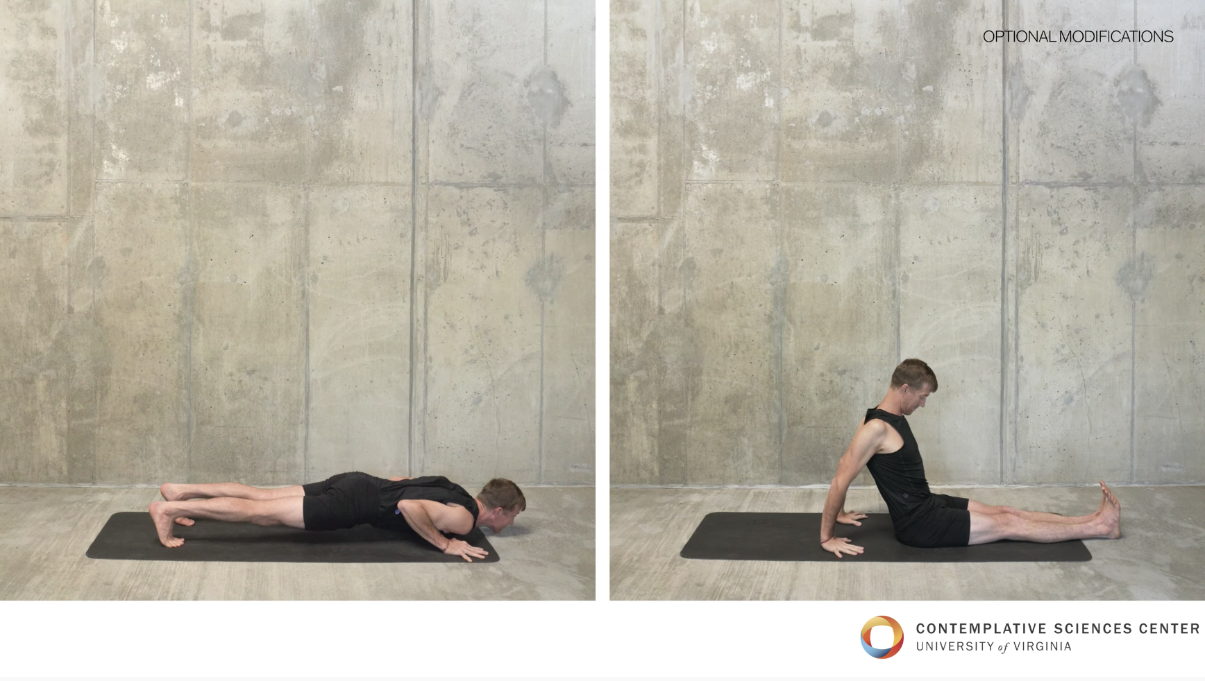 Yoga for Everyone: 10-minute practice video (Copy)