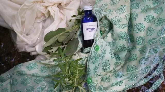 vidJIVA1stseqjiva (Copy)