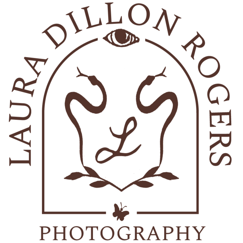laura dillon rogers