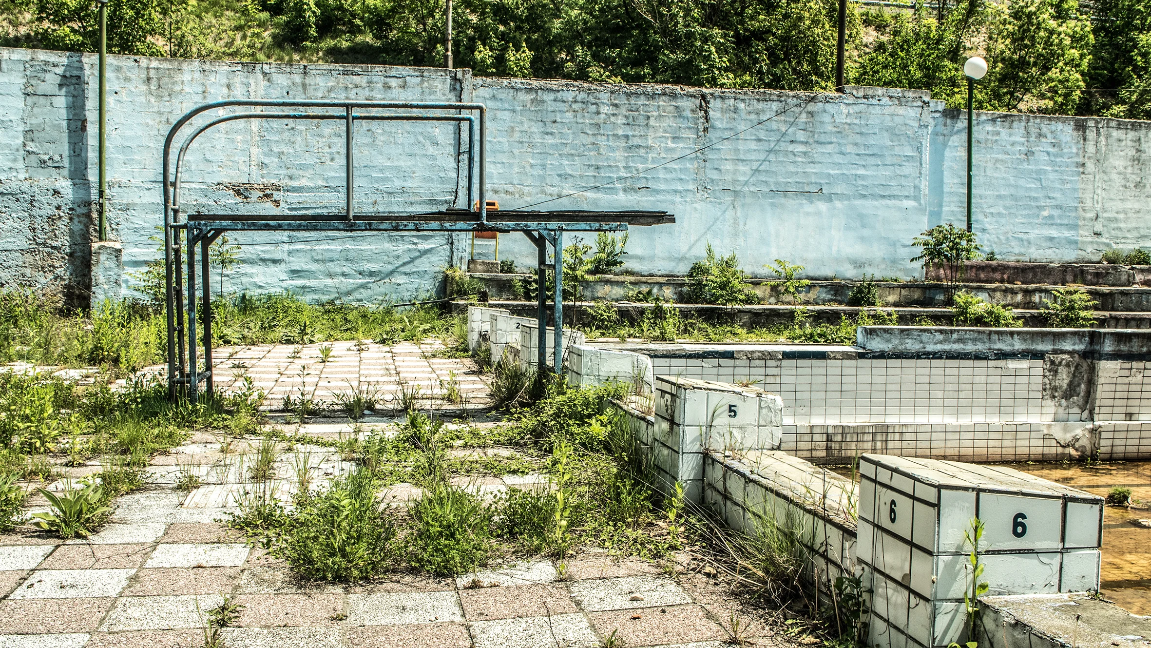 _1050177.jpg