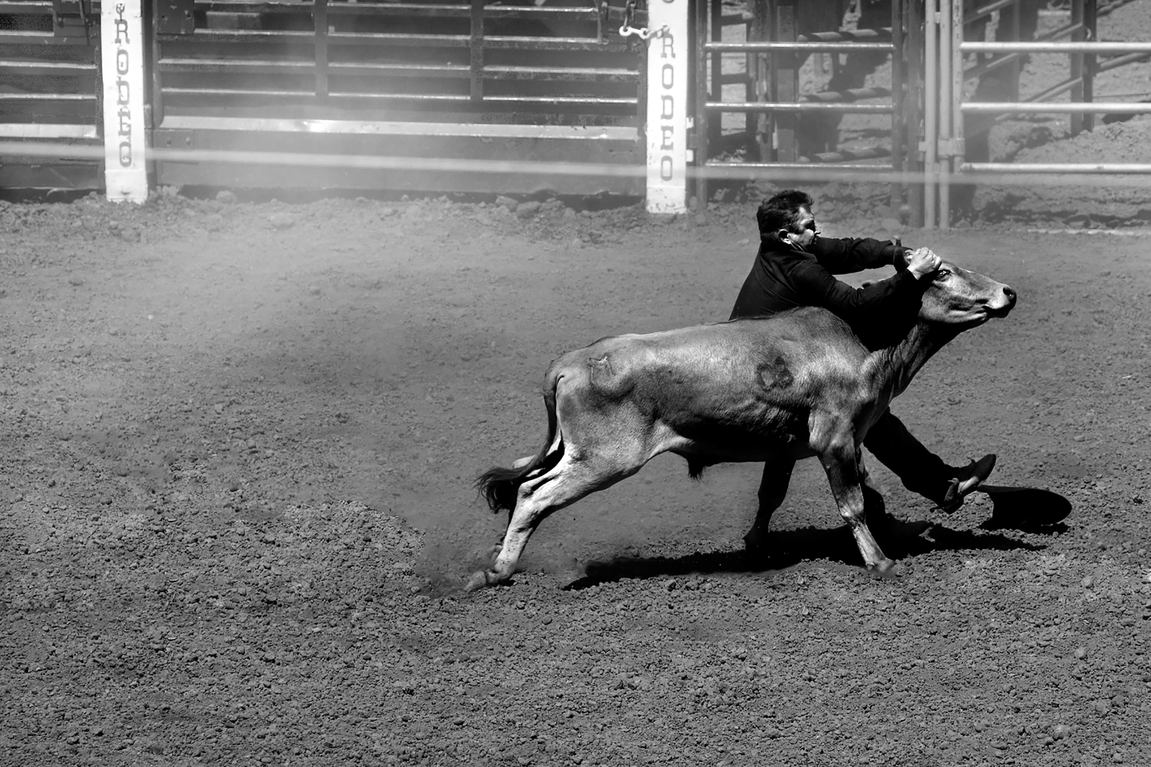 _MG_8231 copy.jpg