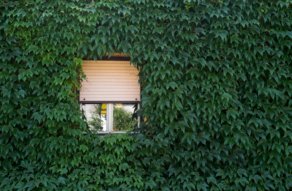 Kaptalantoti, Hungary, 2015.