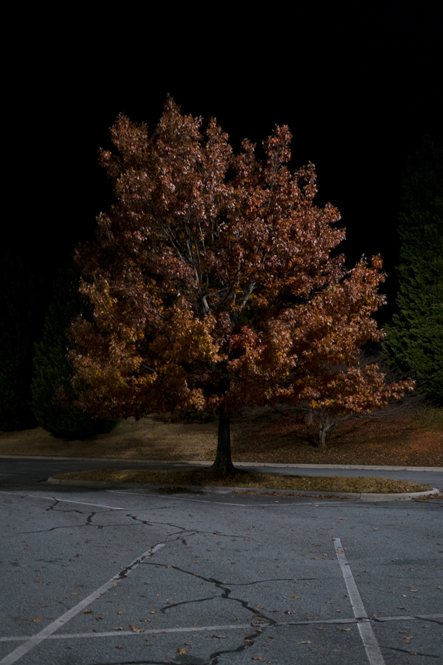 Mall Loop, High Point, NC, 2013