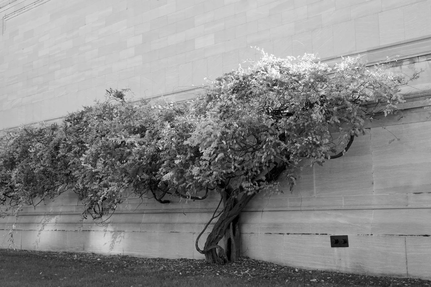 National Gallery of Art