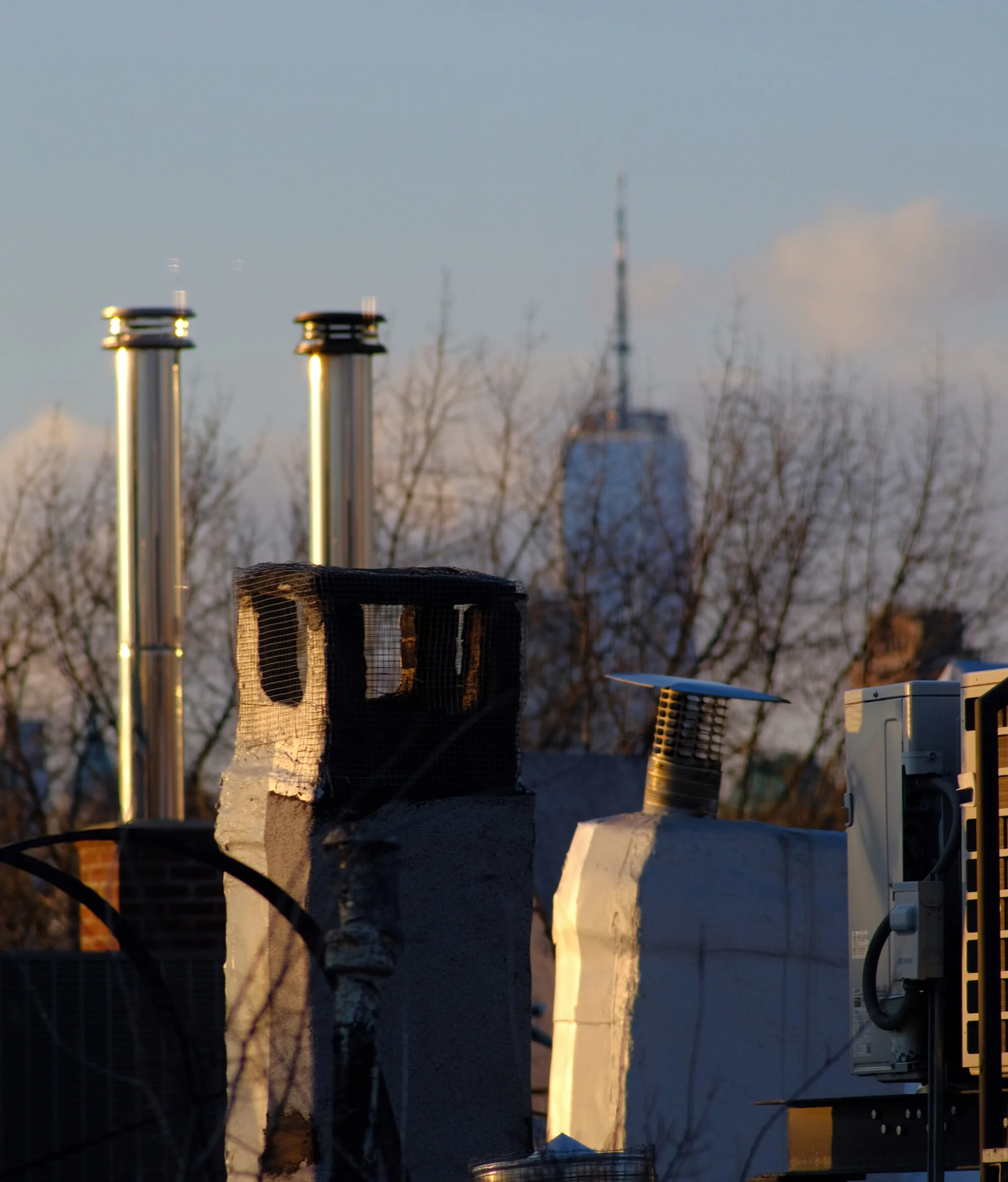 Rooftops/One World Trade, Brooklyn, NYC