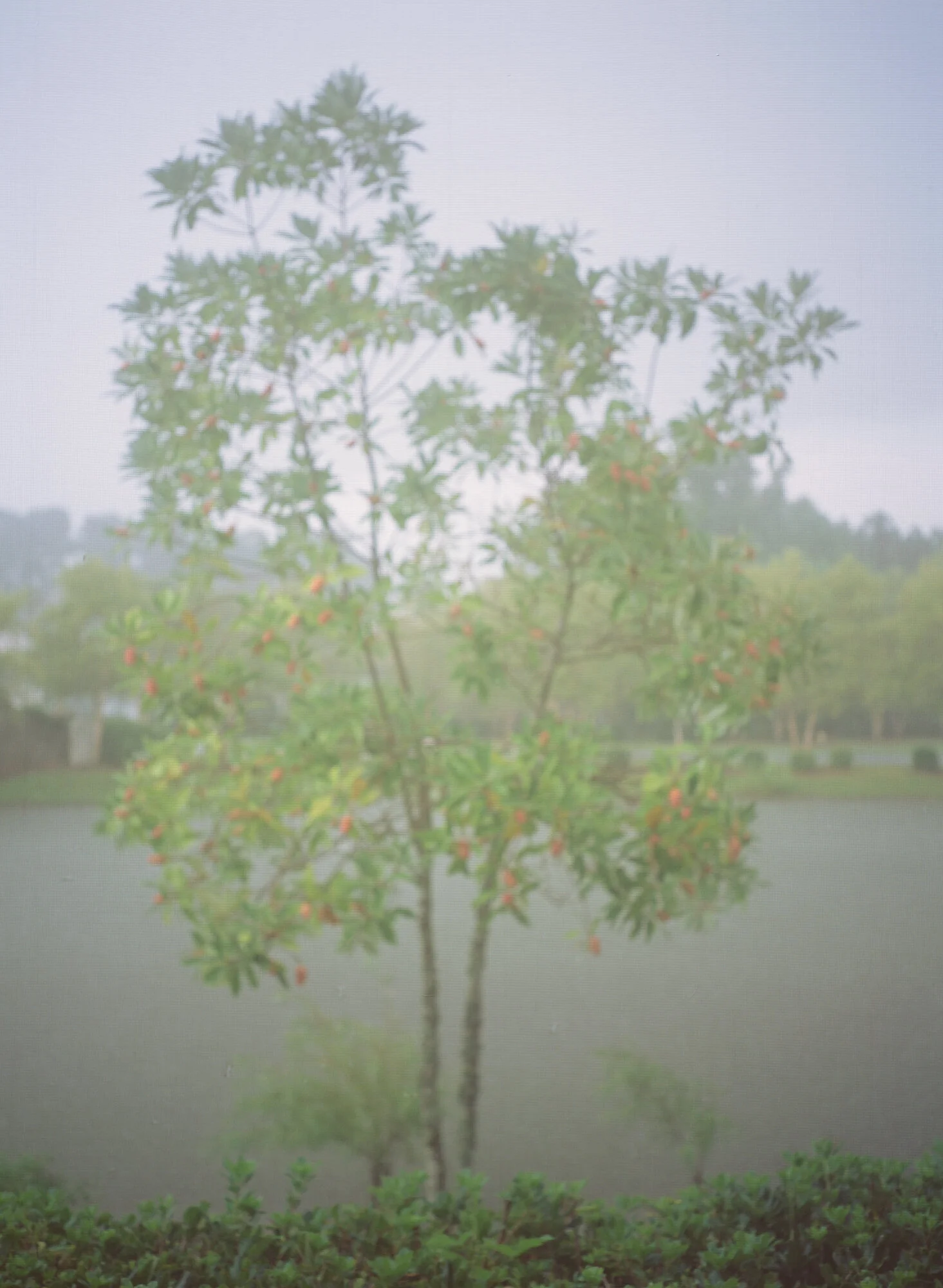 Screened Porch, Wilmington, North Carolina