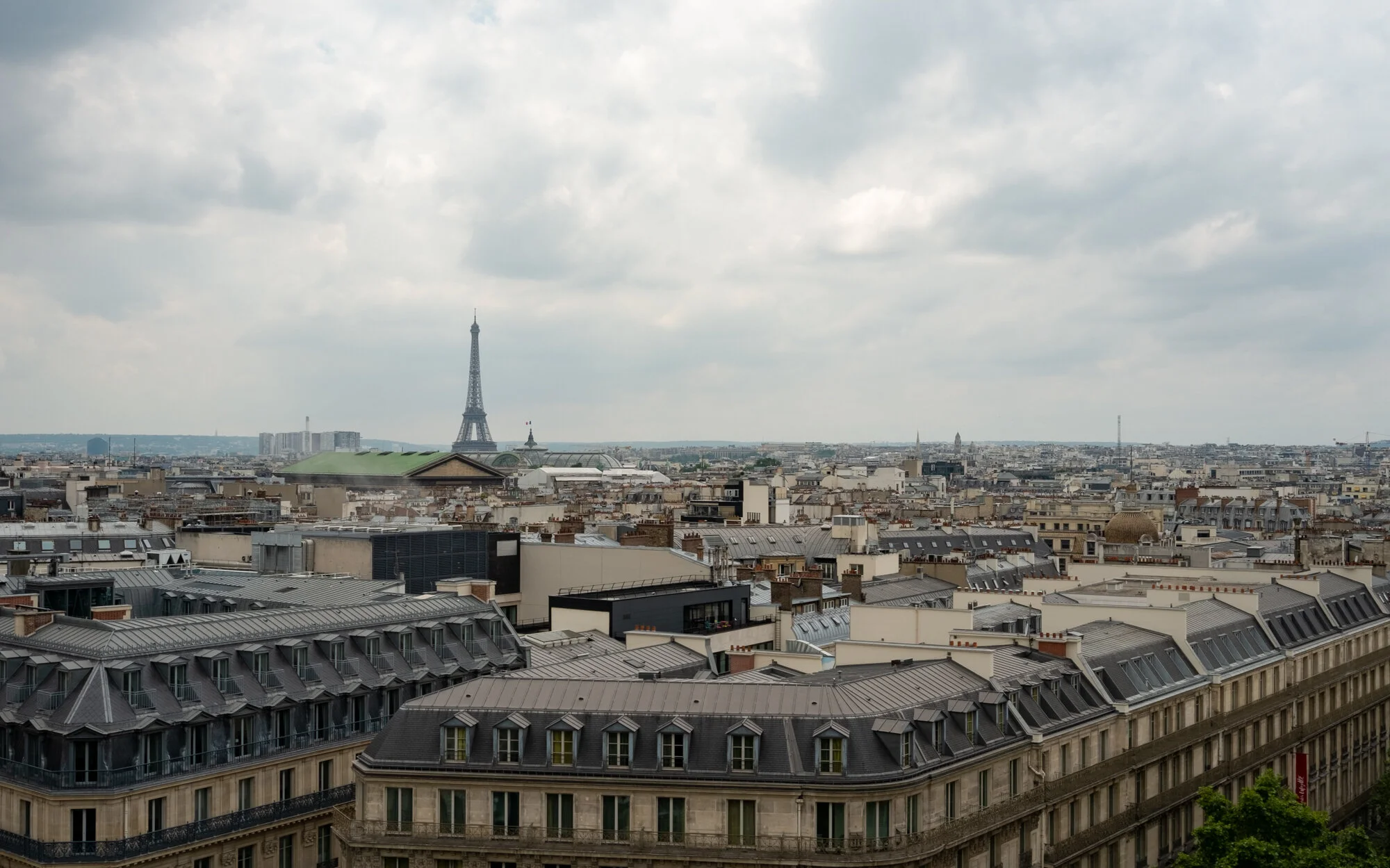 Rootops, Paris, France, 2016.